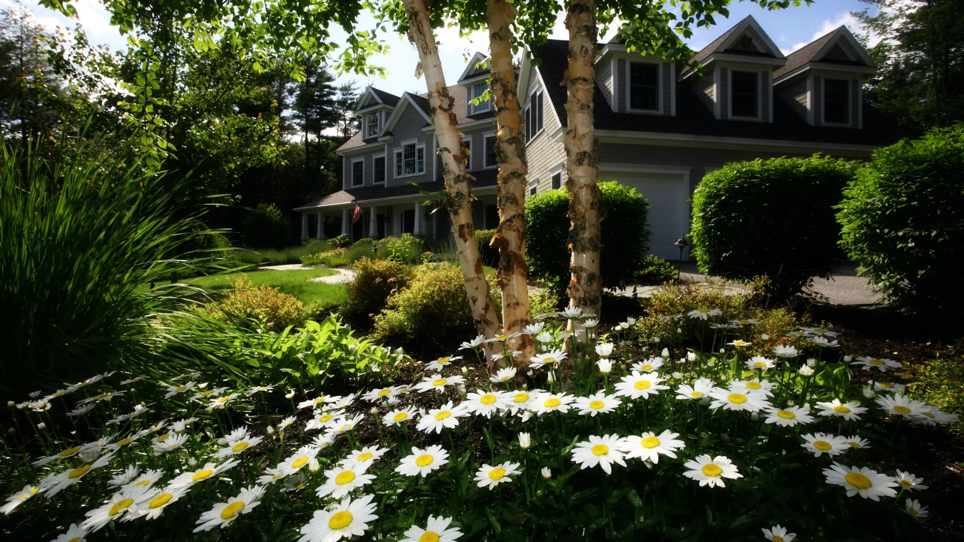 a house with a large garden