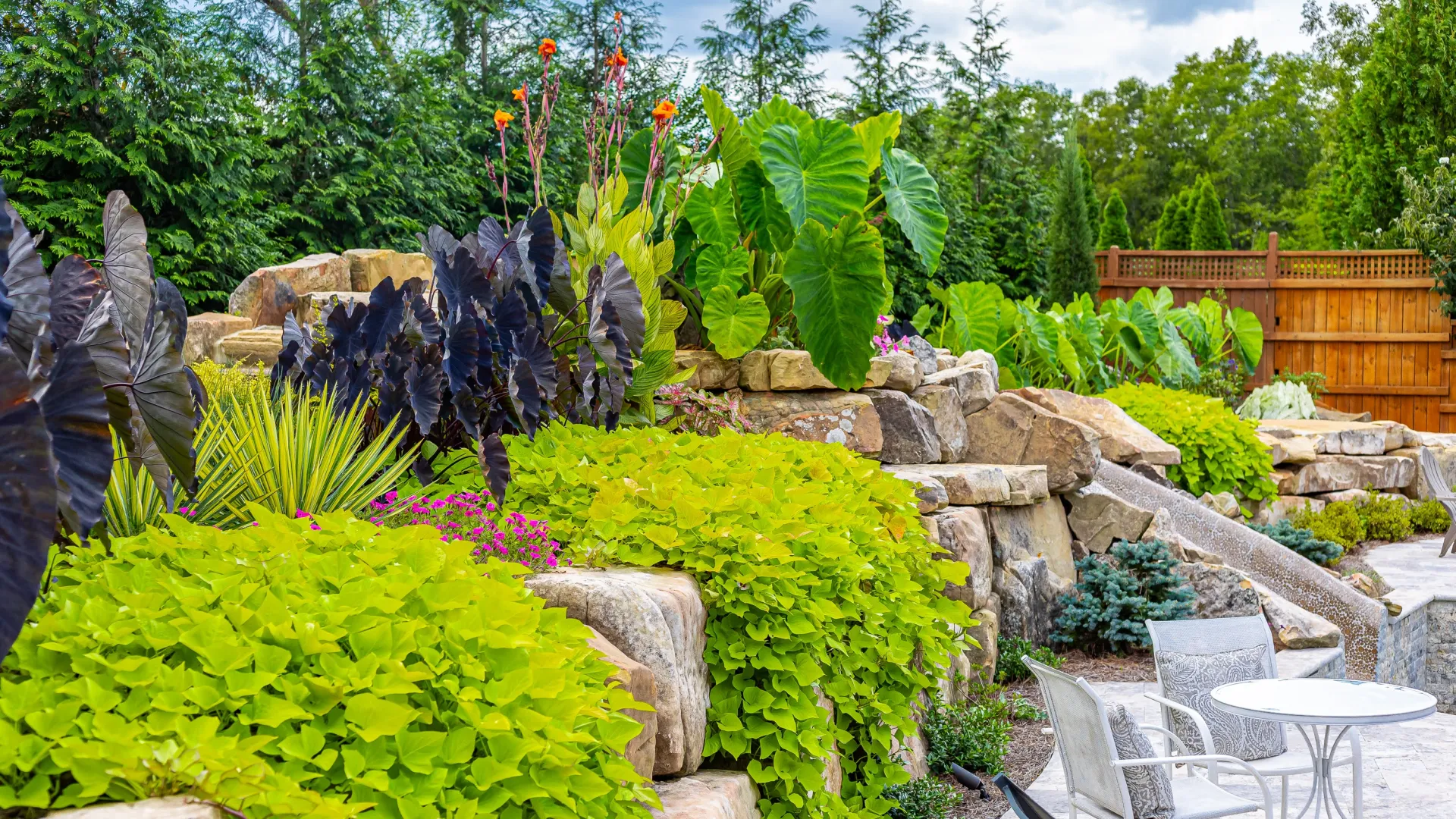 a garden with a waterfall