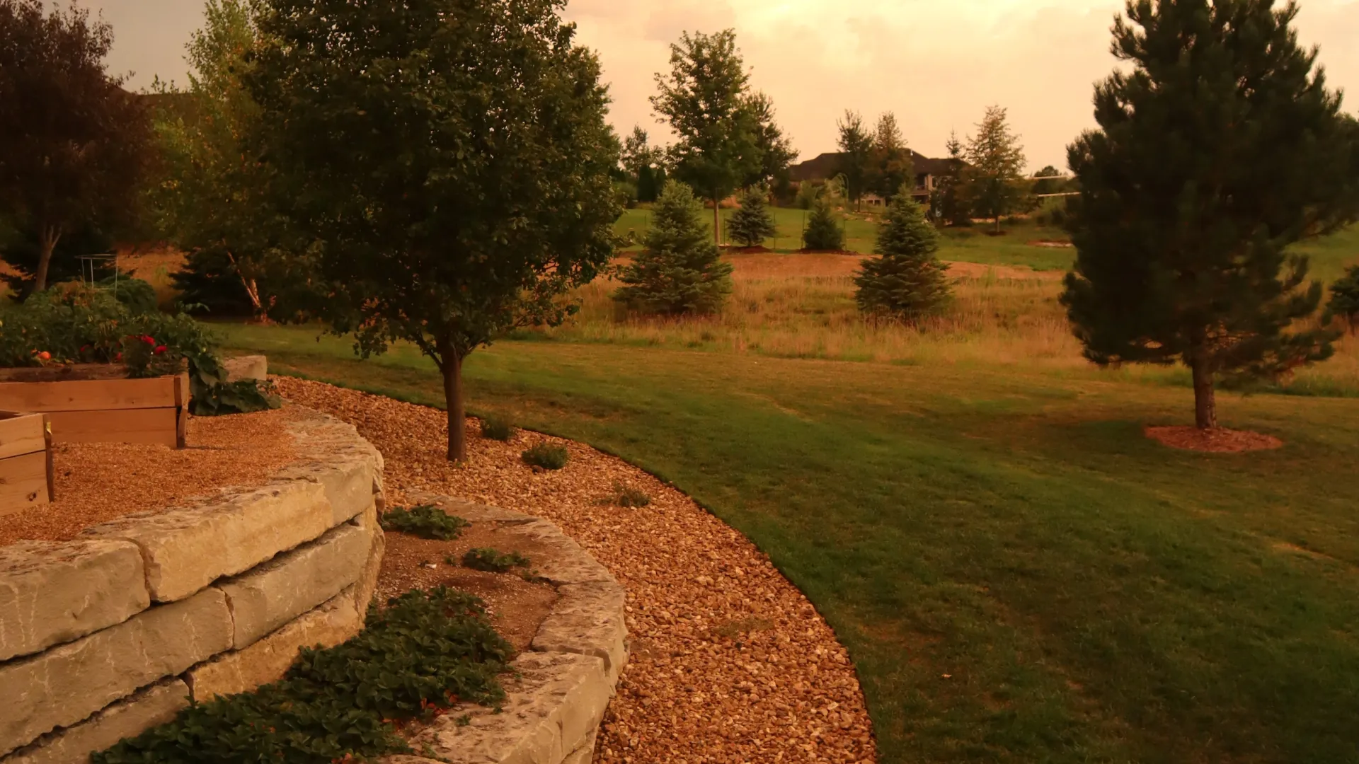 a path with grass and trees