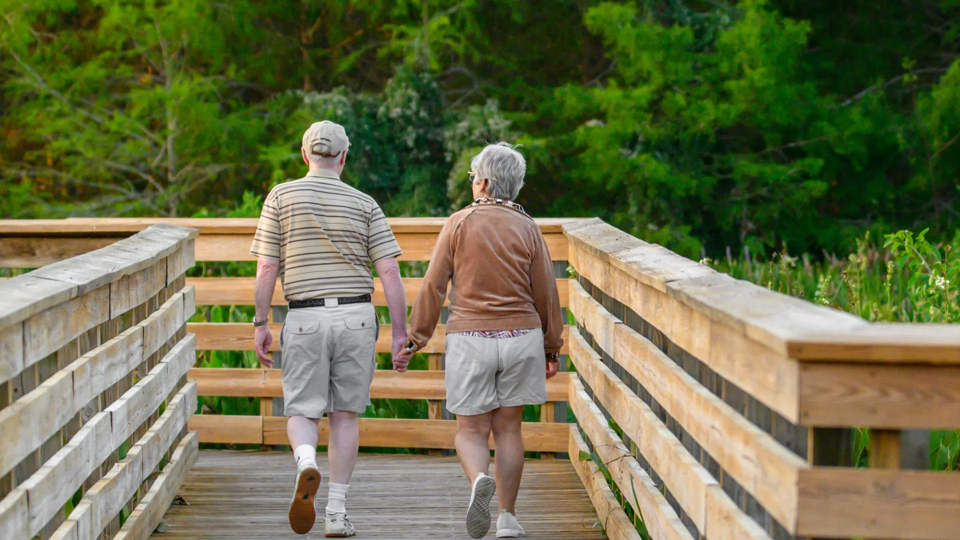 Senior couple holding hands walking on wooden boardwalk surrounded by green trees in nature park.