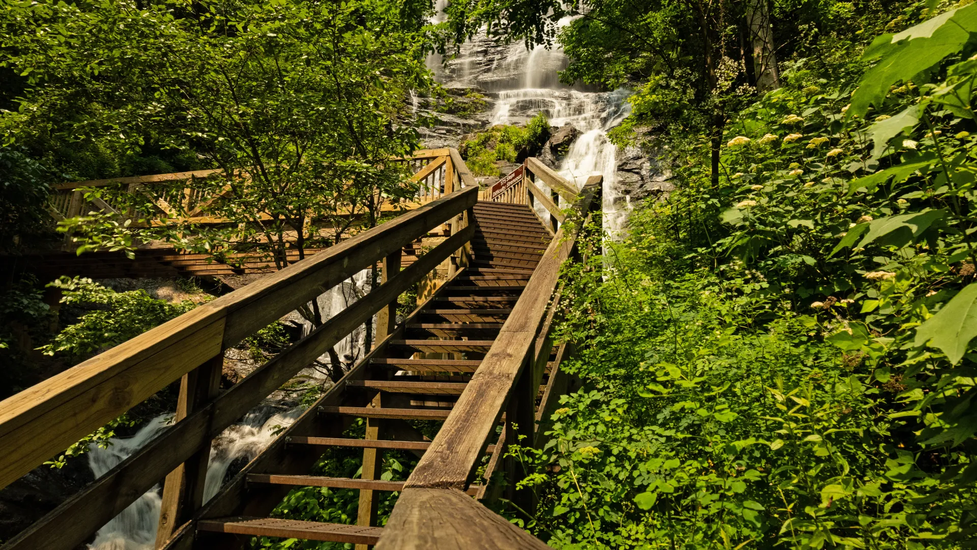 Wooden staircase and walkway leading upward through dense green forest beside a cascading waterfall under sunlight.