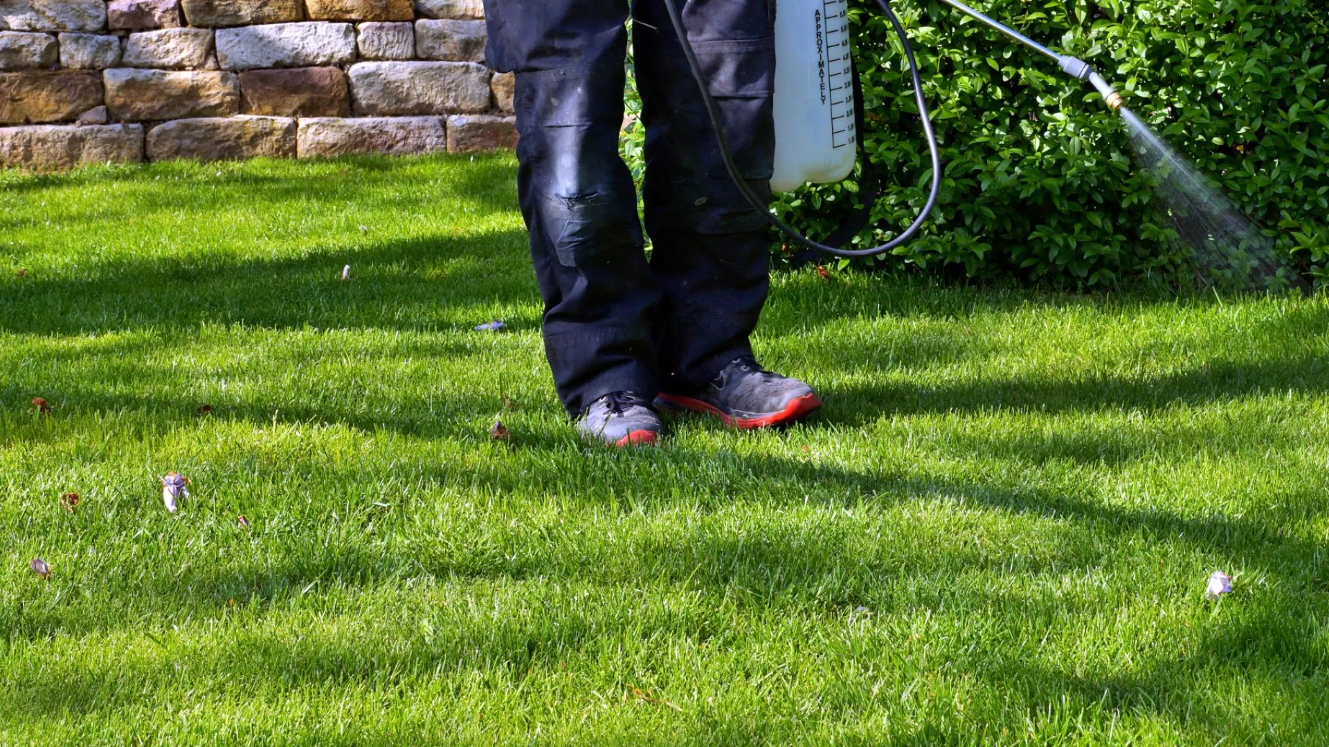 a person holding a golf club