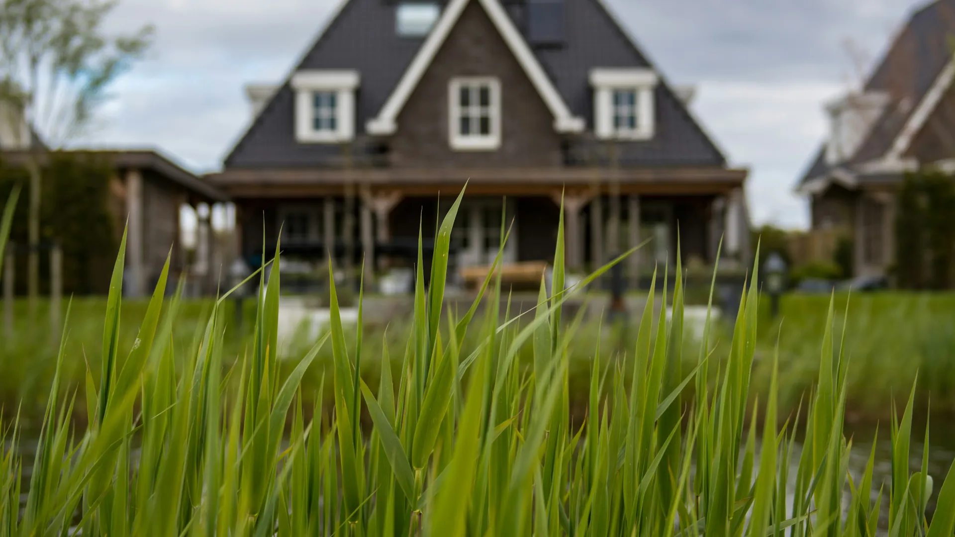 a house with a yard and grass