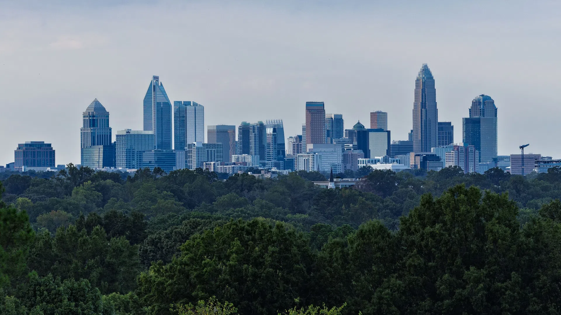 City skyline with modern skyscrapers behind dense green forest under a cloudy sky at dusk