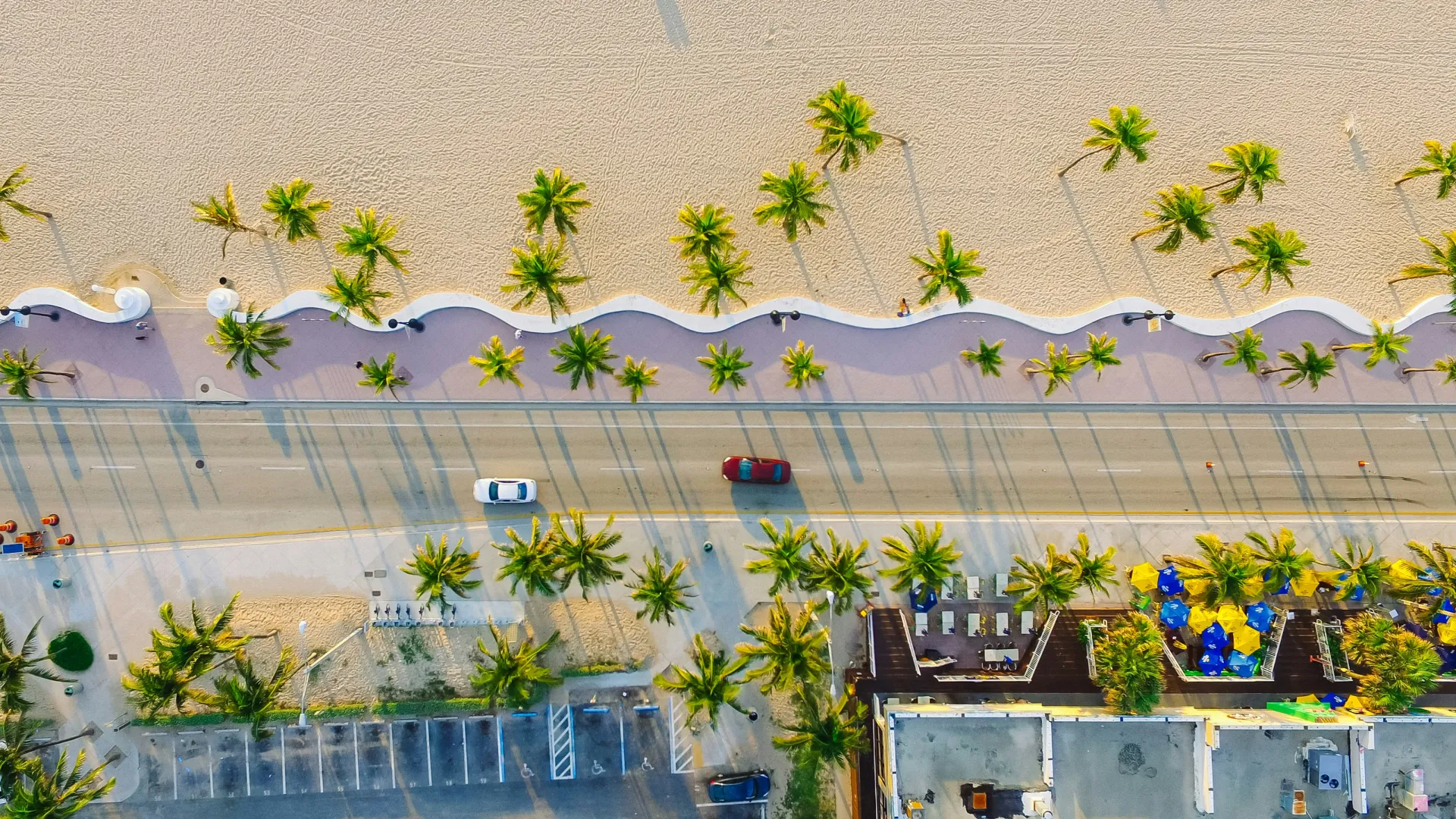 Aerial view of a coastal road lined with palm trees, adjacent beach, cars, and colorful umbrellas on a sunny day.