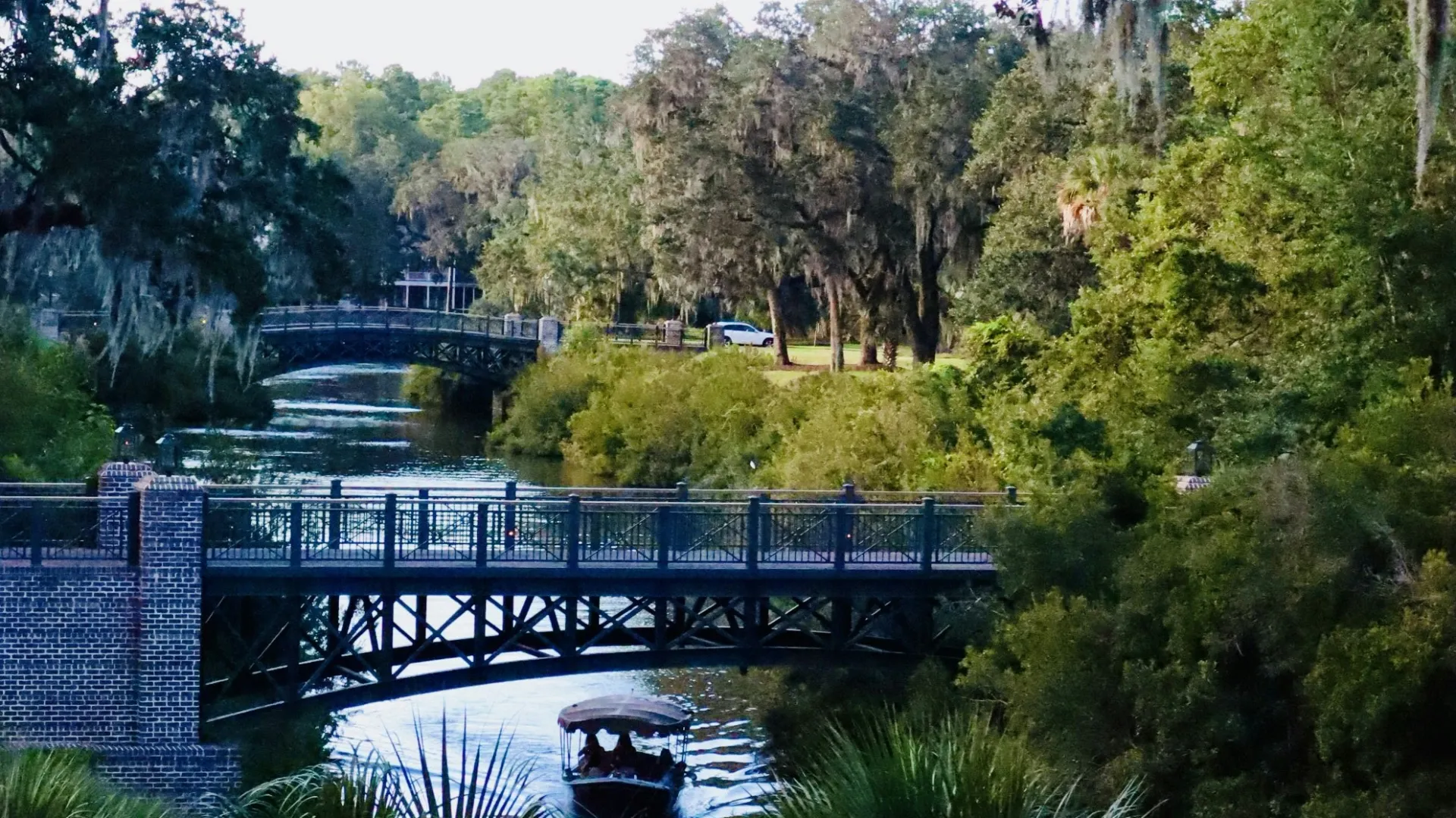 Pest Control, Residential and Commercial Pest Control in Hollywood, Hollywood Pest Services, Hollywood Certified Pest Control Technicians, Hollywood Exterminator, Hollywood Pest Inspections, Pest Control in 29449