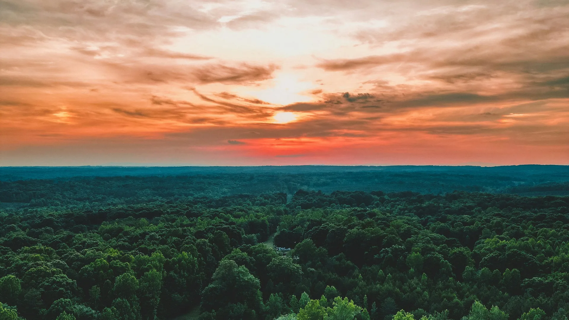 Pest Control, Residential and Commercial Pest Control in Denver, Denver Pest Services, Denver Certified Pest Control Technicians, Denver Exterminator, Denver Pest Inspections, Serving Denver ZIP Codes 28037, 28039, 28035