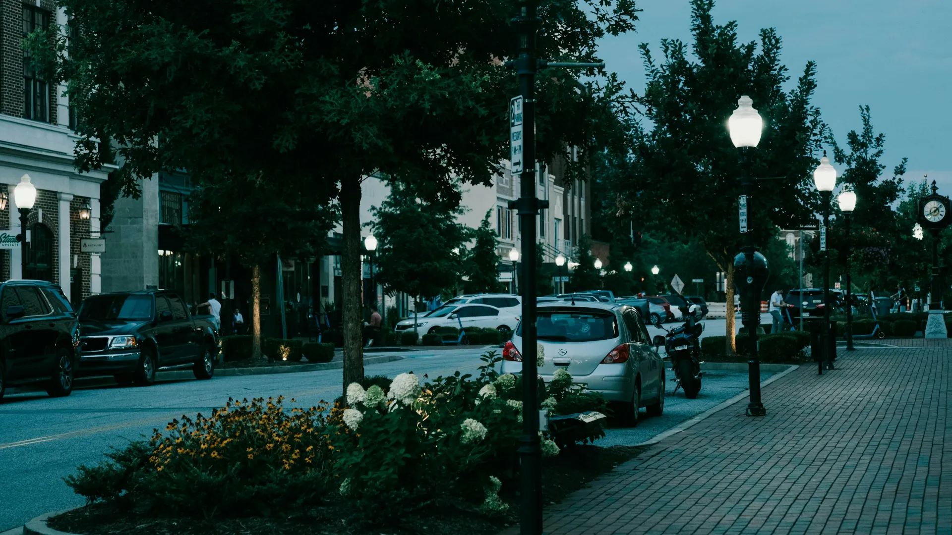 Pest Control, Residential and Commercial Pest Control in York, York Pest Services, York Certified Pest Control Technicians, York Exterminator, York Pest Inspections, Pest Control in 29744, Pest Control in 29745