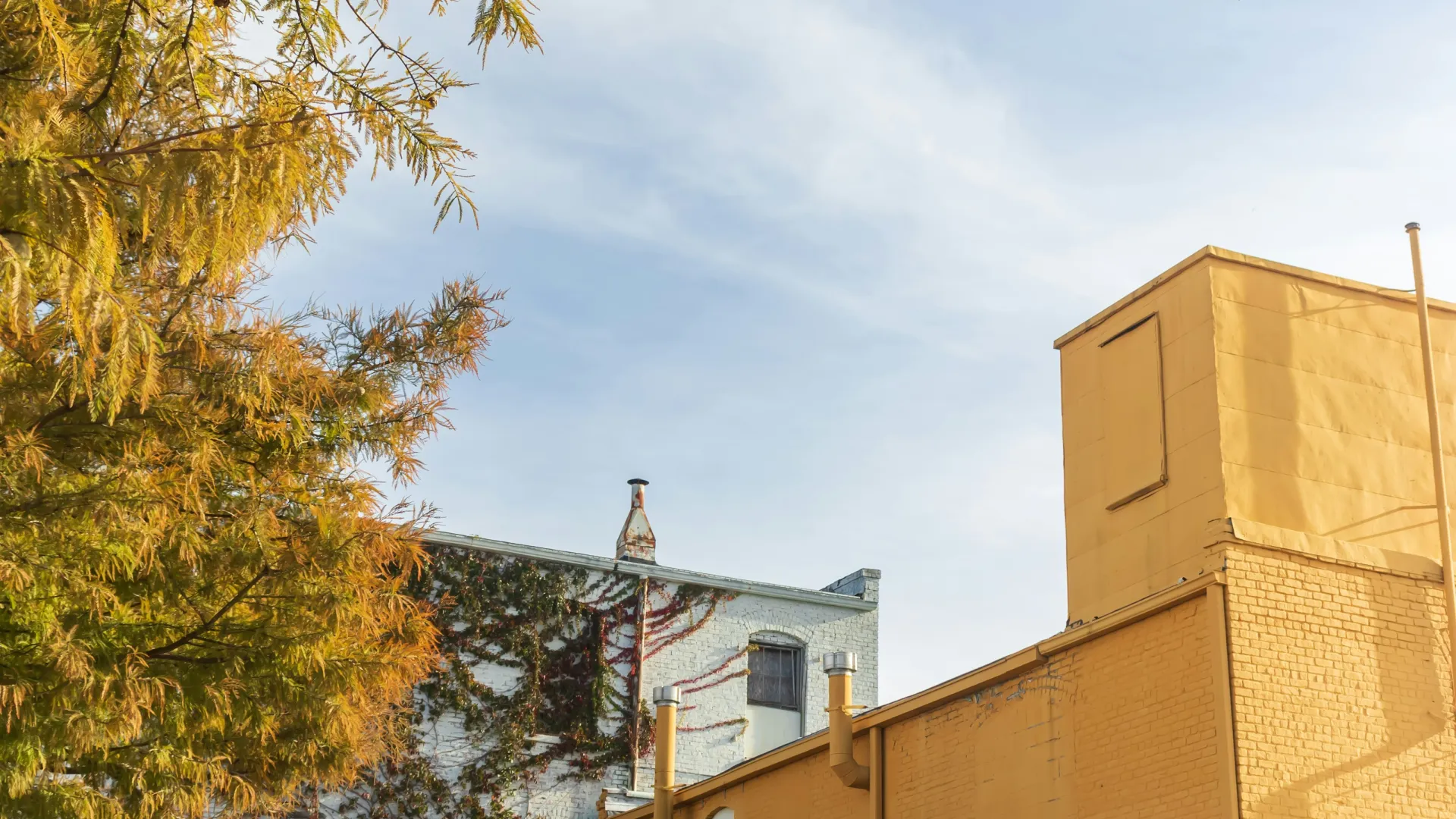 Yellow brick building with clear sky and autumn tree branches framing the scene in an urban setting