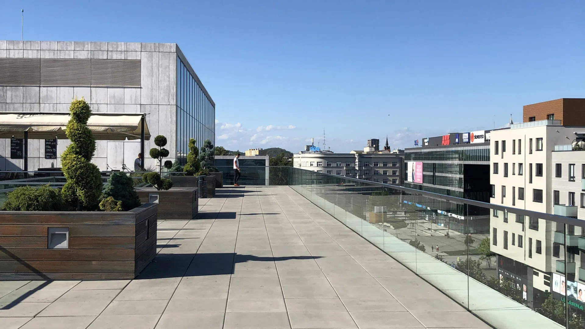 Spacious rooftop terrace with potted plants, glass railing, and urban buildings under a clear blue sky.