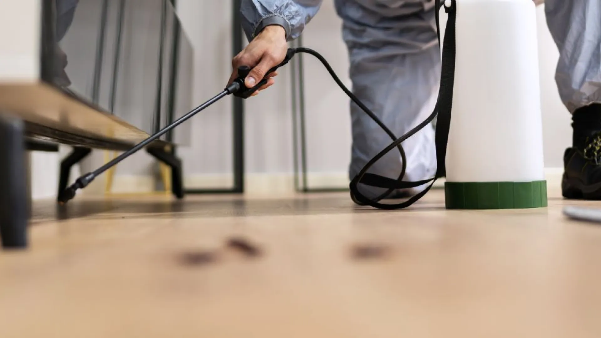 pest management