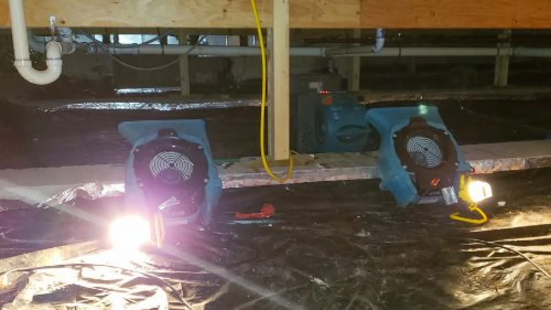 Moisture fans for crawl space for Good Nature Pest Control