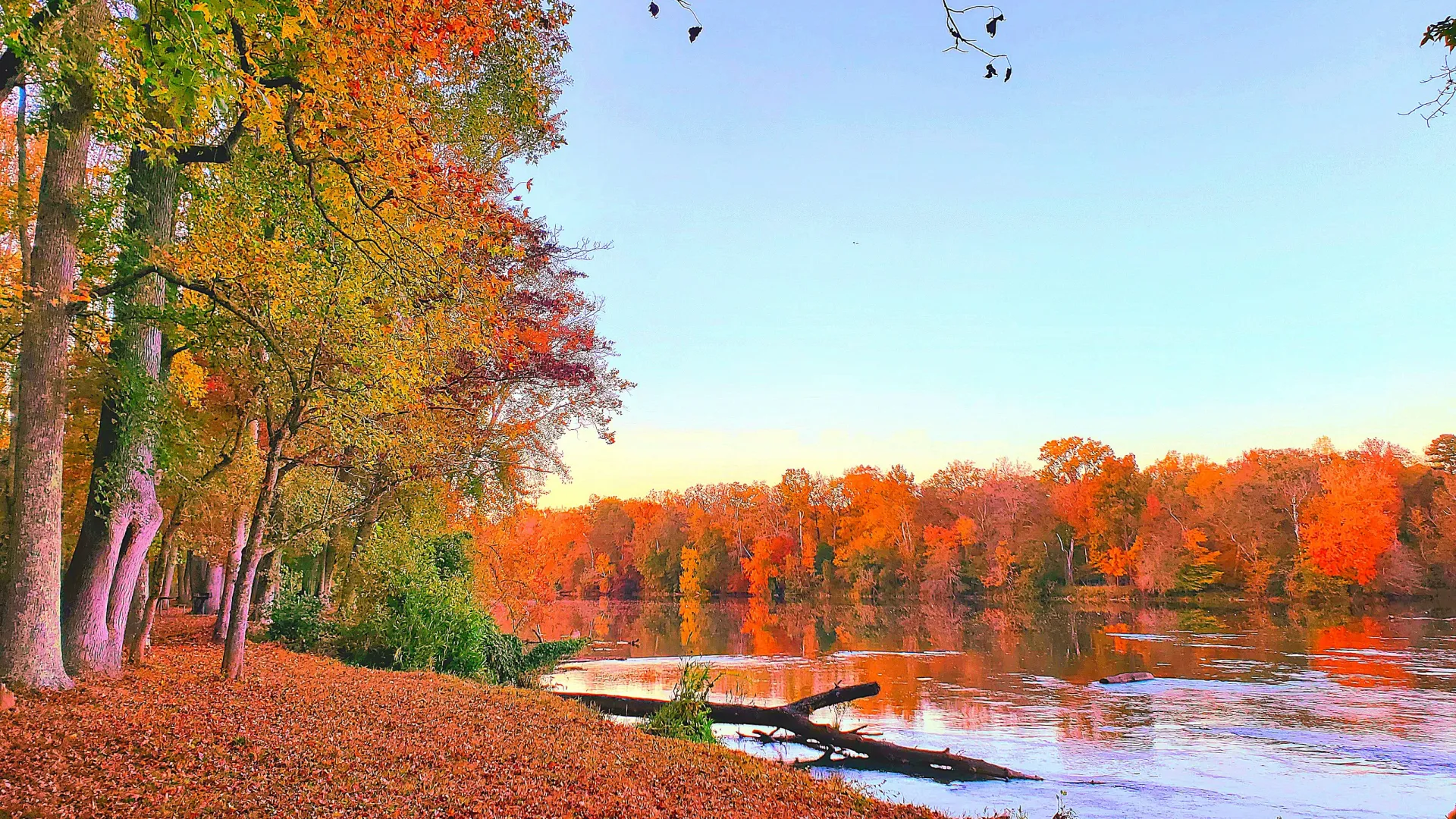 Pest Control, Residential and Commercial Pest Control in Catawba, Catawba Pest Services, Catawba Certified Pest Control Technicians, Catawba Exterminator, Catawba Pest Inspections, Pest Control in 29704