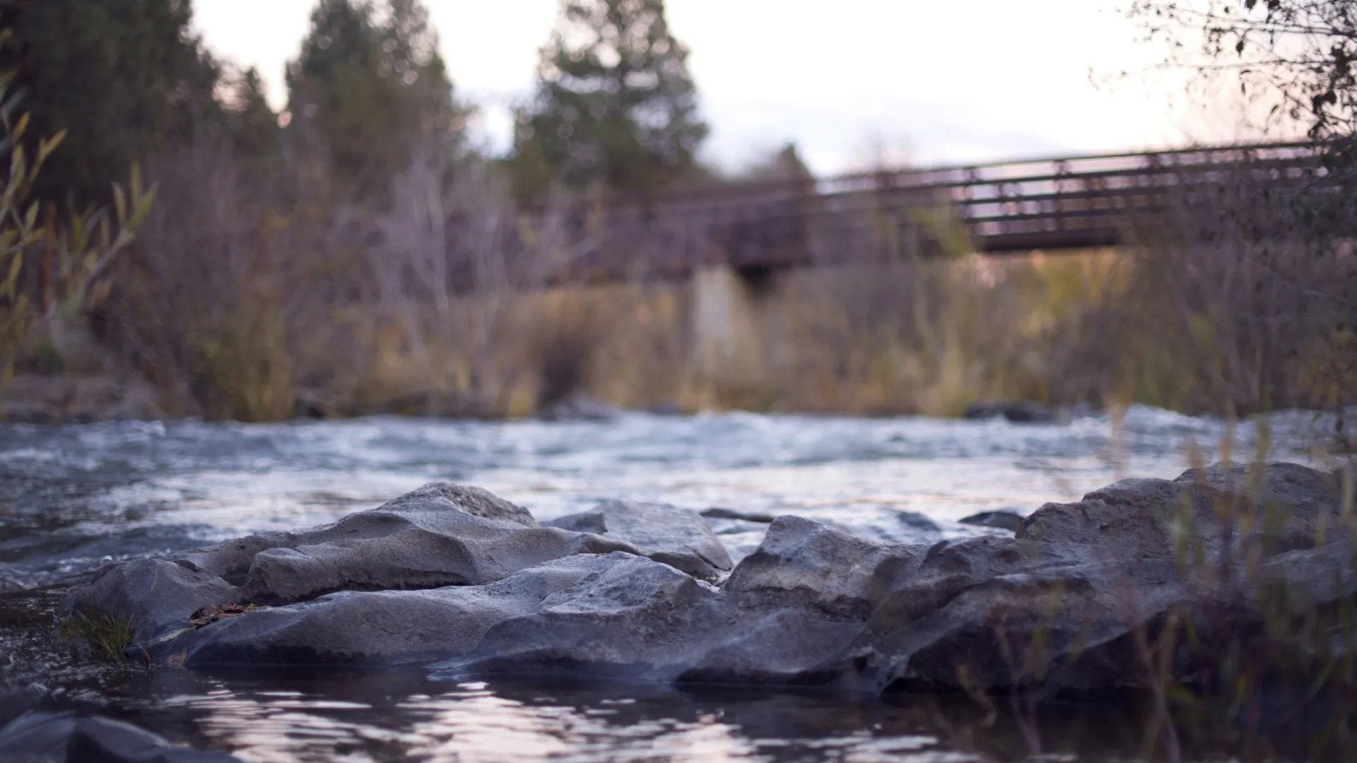 Calm river flowing over rocks with a wooden bridge and pine trees in the background at dusk.