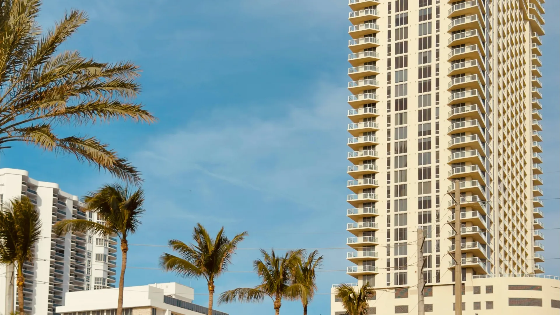 Pink Tesla driving on urban street with palm trees and tall modern buildings under blue sky.