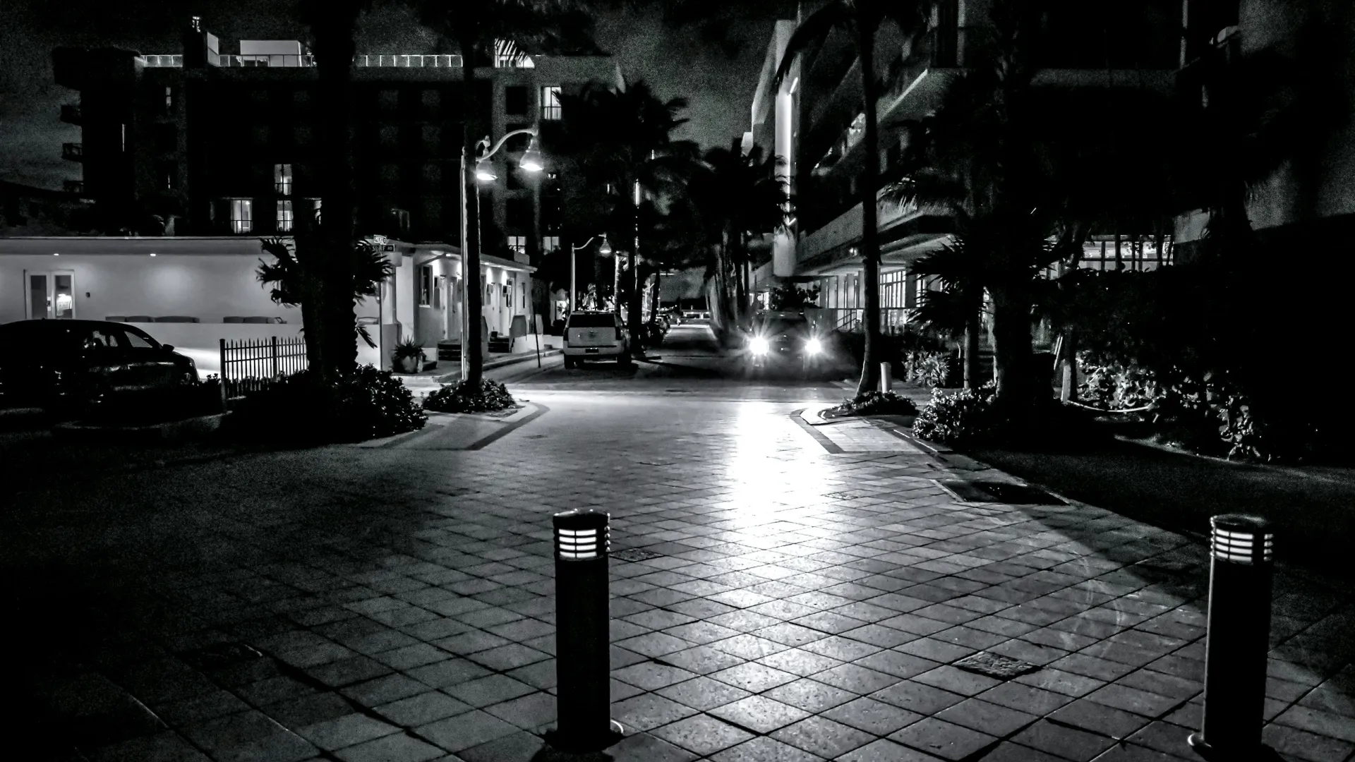 Black and white nighttime street scene with buildings, palm trees, and illuminated bollards on tiled pavement.
