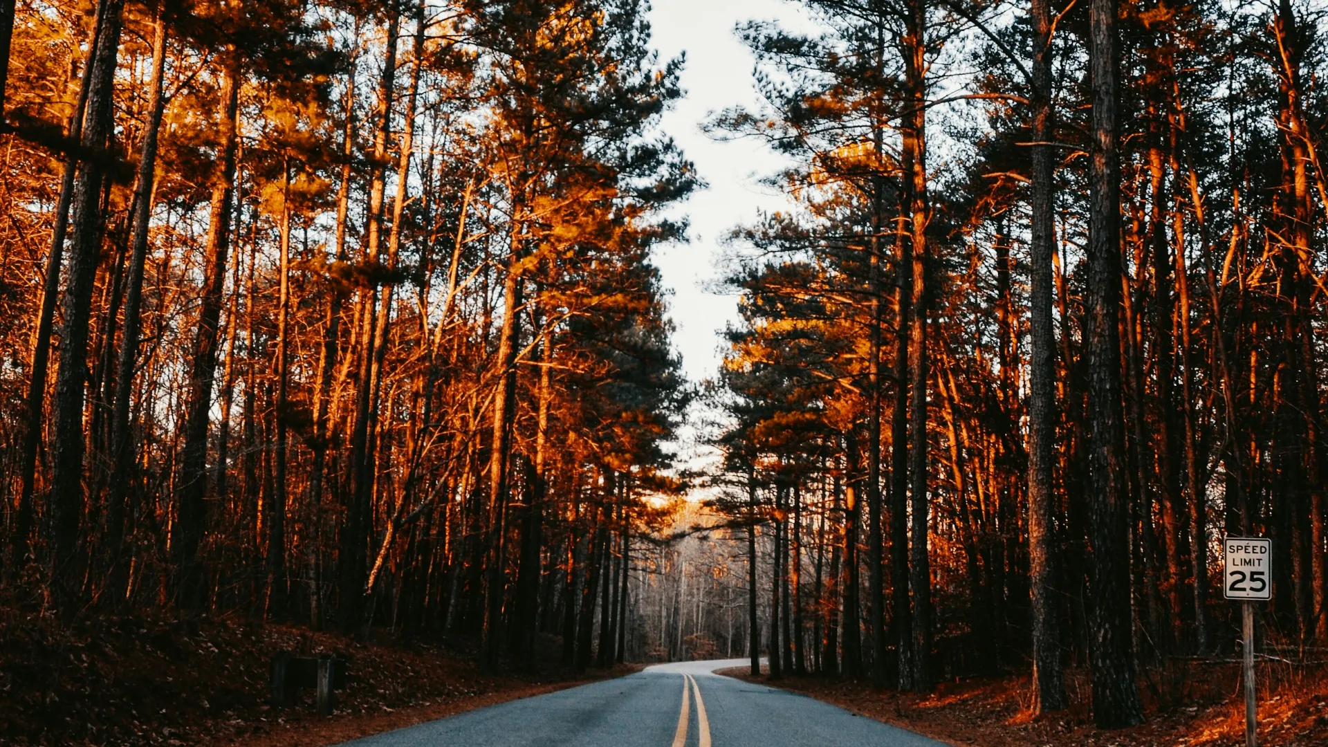 Pest Control, Residential and Commercial Pest Control in Troutman, Troutman Pest Services, Troutman Certified Pest Control Technicians, Troutman Exterminator, Troutman Pest Inspections