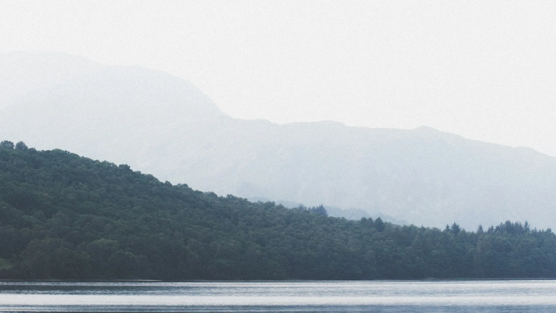 Pest Control, Residential and Commercial Pest Control in Clemmons, Clemmons Pest Services, Clemmons Certified Pest Control Technicians, Clemmons Exterminator, Clemmons Pest Inspections, Serving Clemmons ZIP Codes 27010, 27013