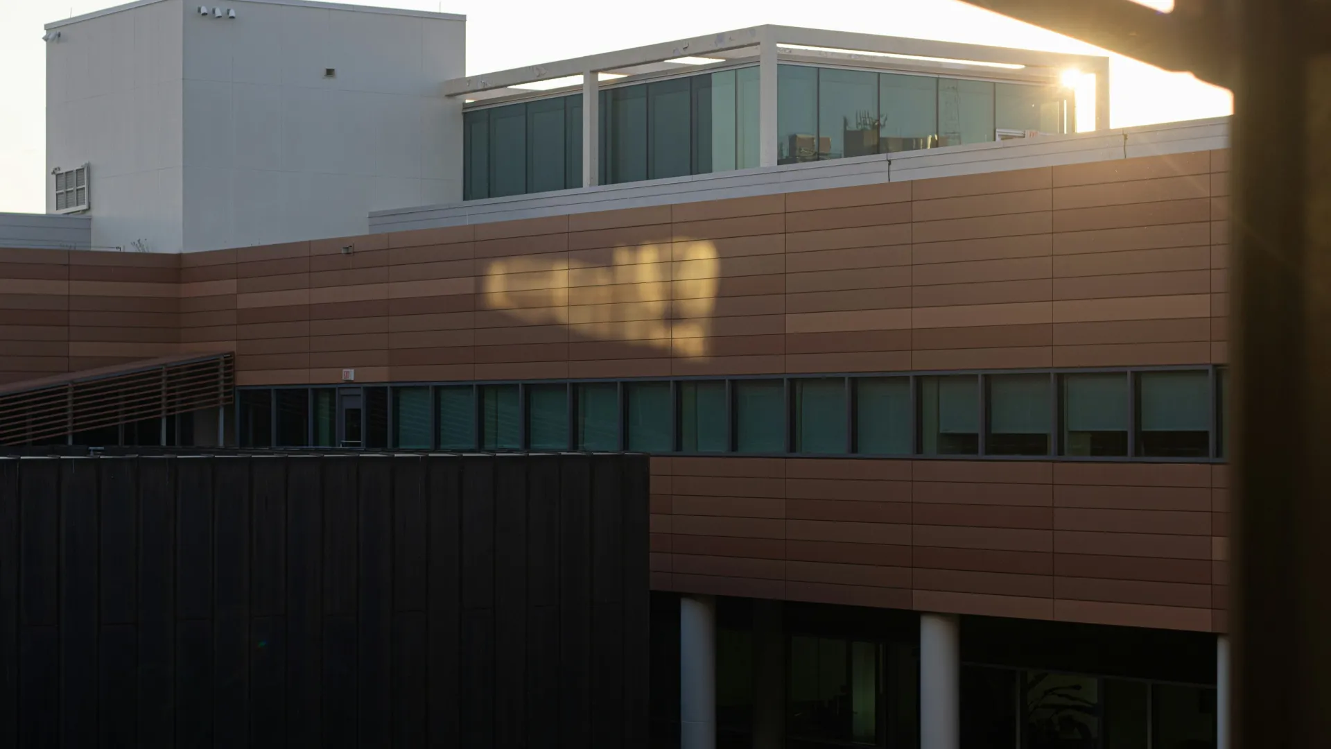 Pest Control, Residential and Commercial Pest Control in Pineville, Pineville Pest Management Services, Pineville Licensed Pest Control Professionals, Pineville Exterminator Services, Pineville Pest Inspections