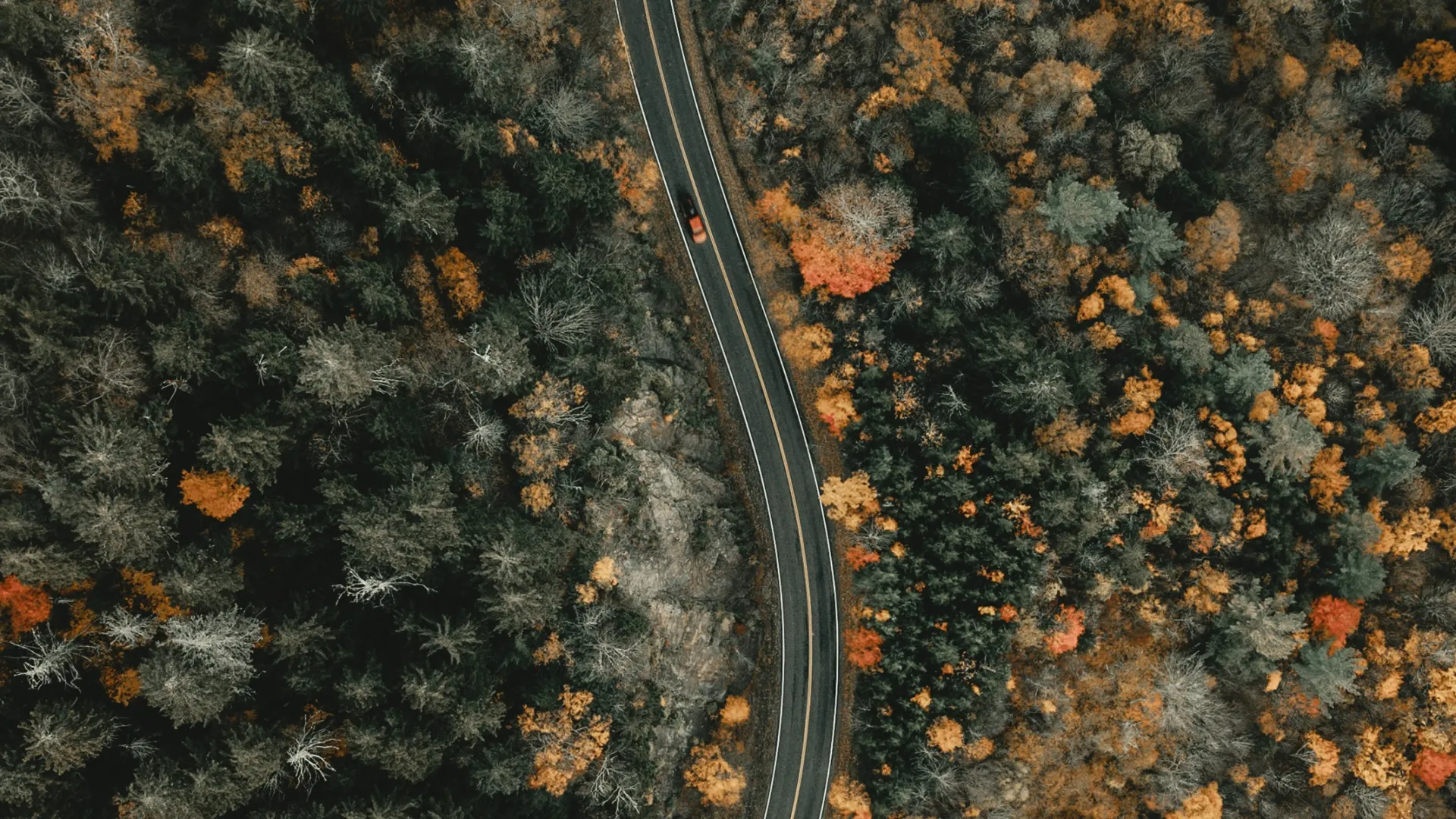 A winding road cuts through a dense autumn forest with vibrant orange, yellow, and green foliage from an aerial view.