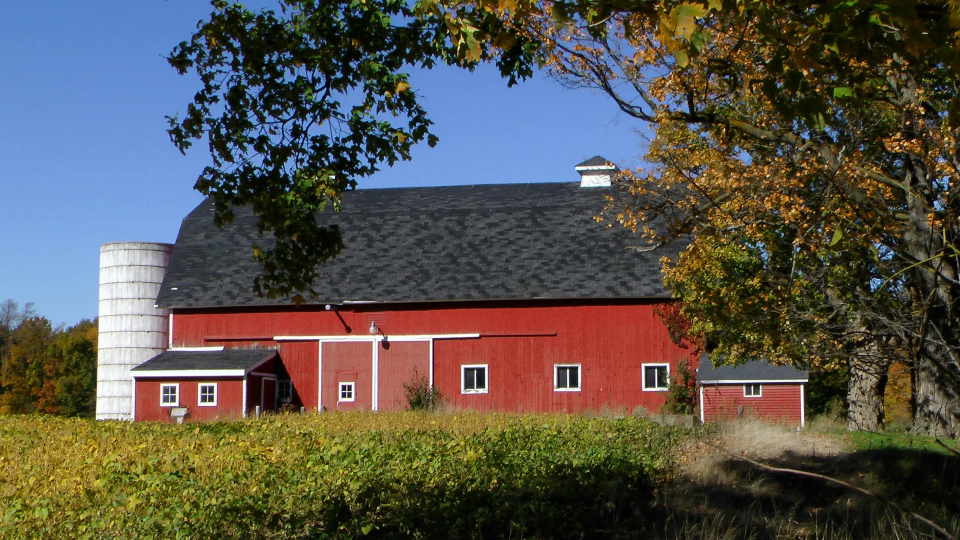 Traditional red barn with white silo surrounded by green grass and autumn trees under a clear blue sky.
