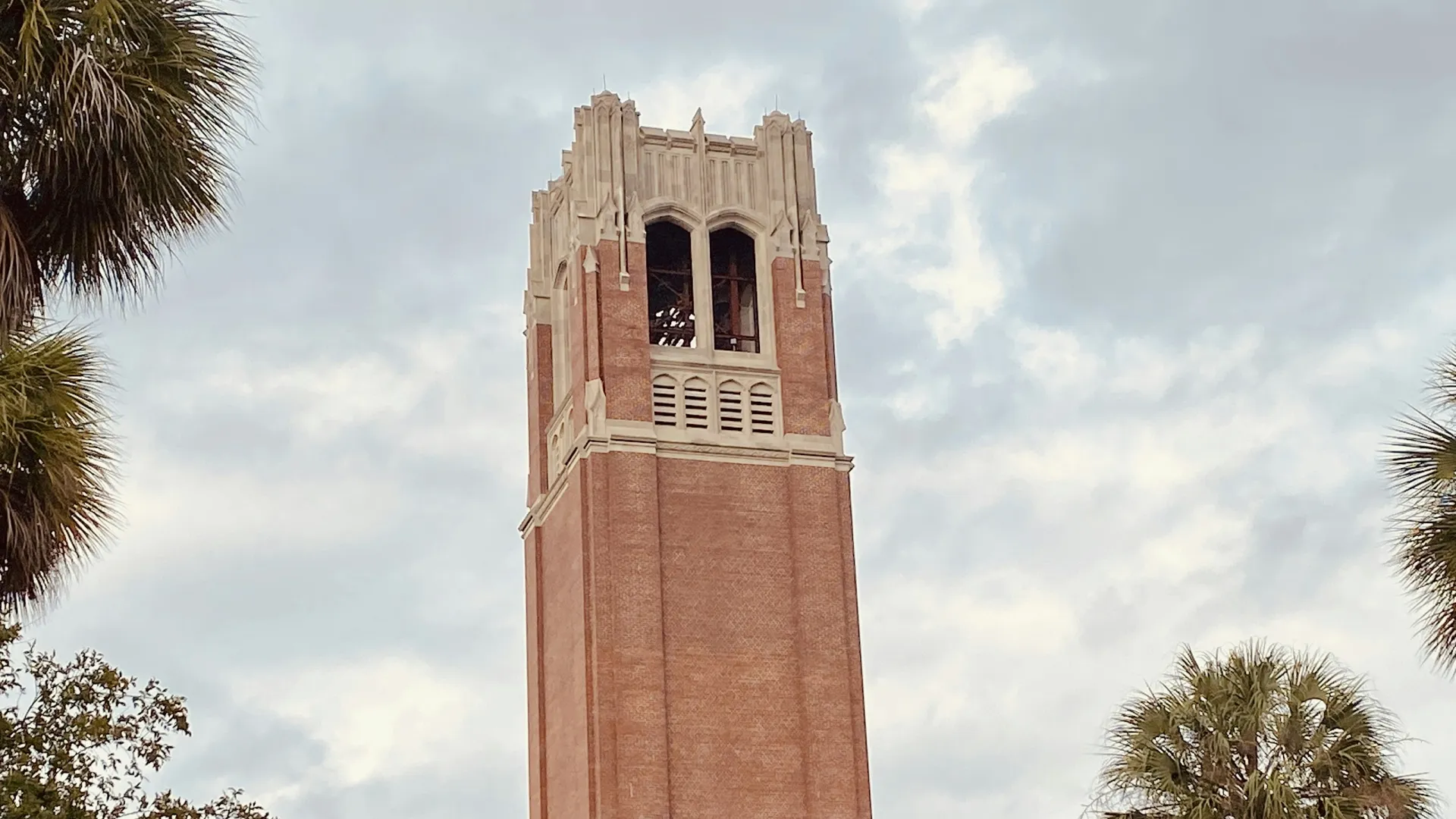 Pest Control, Residential and Commercial Pest Control in Gainesville, Gainesville Pest Services, Gainesville Certified Pest Control Technicians, Gainesville Exterminator, Gainesville Pest Inspections, Serving Gainesville ZIP Codes 30501, 30504, 30506