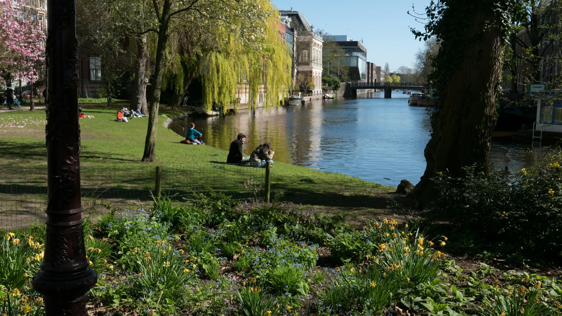 People relaxing by a riverbank park with blooming trees and flowers in a sunny urban setting.
