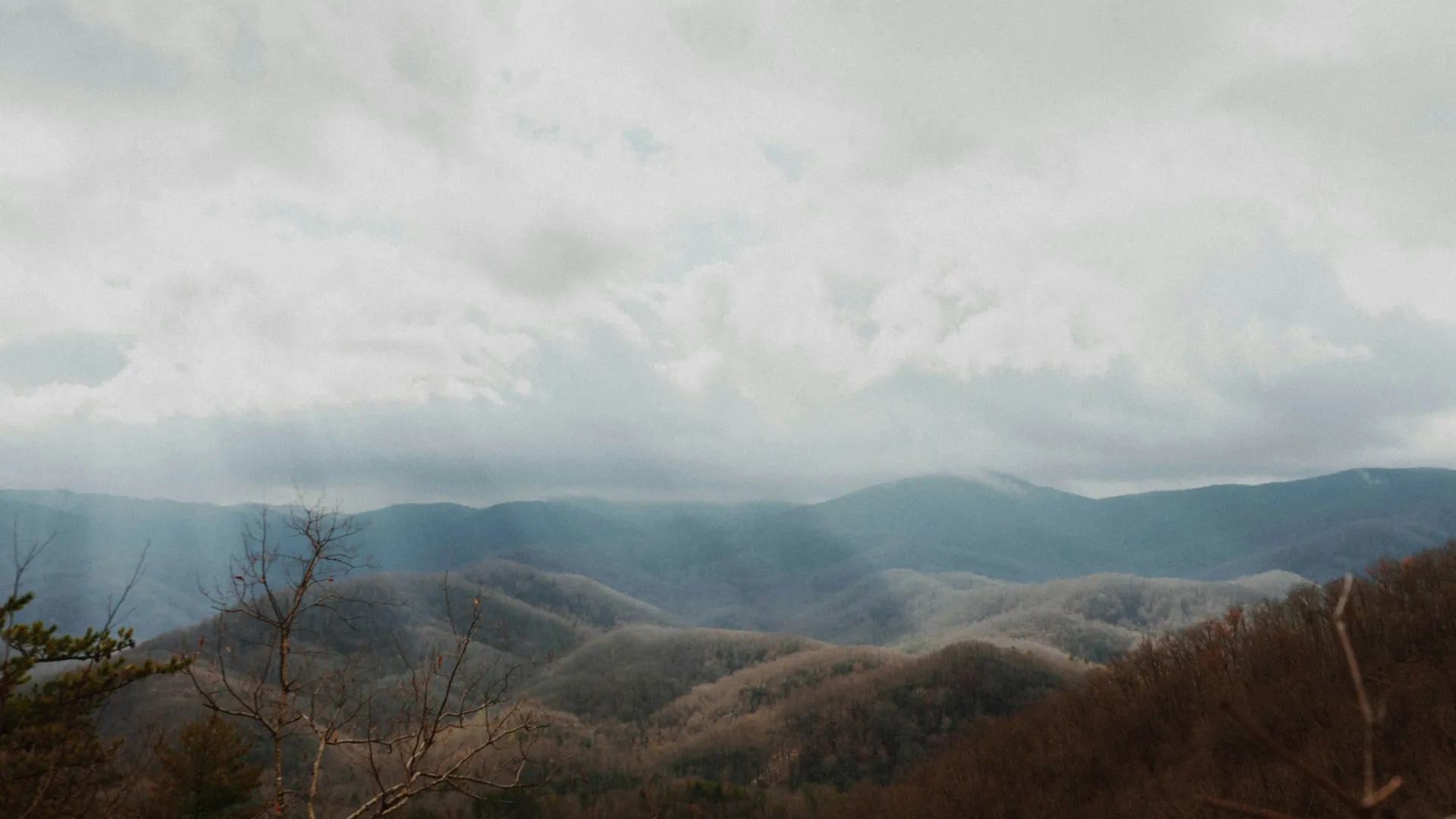 Pest Control, Residential and Commercial Pest Control in Badin, Badin Pest Services, Badin Certified Pest Control Technicians, Badin Exterminator, Badin Pest Inspections, Serving Badin ZIP Code 28009