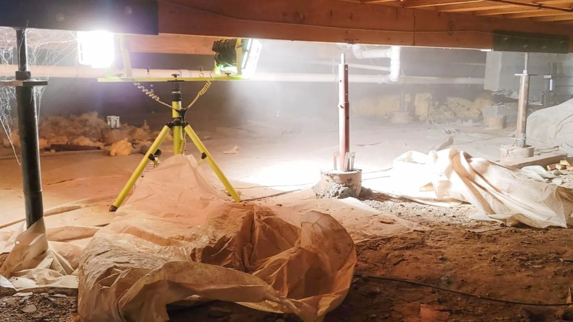untreated crawlspace PestNation