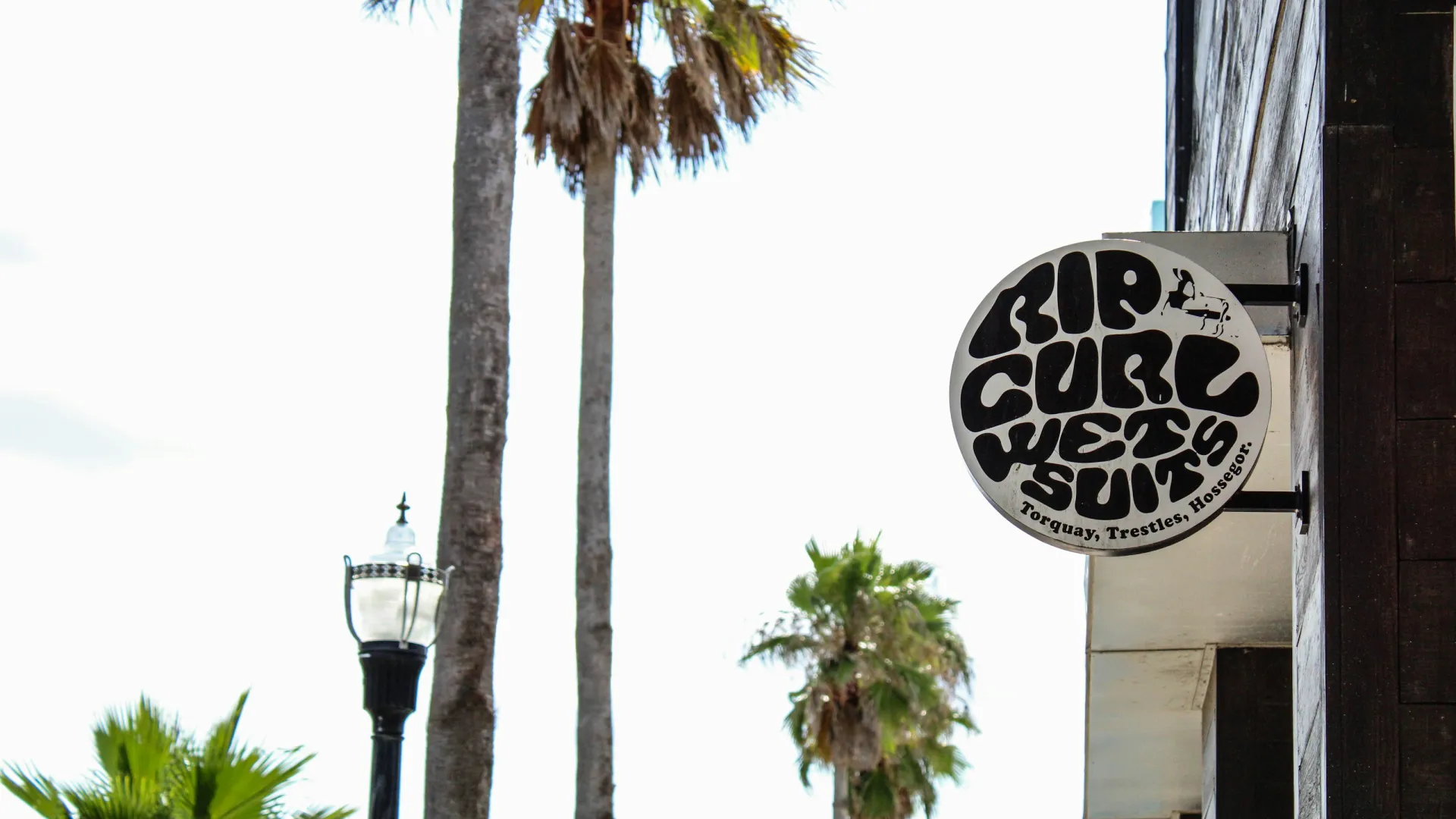 Round Rip Curl wetsuits sign mounted on building with palm trees and lamp post in sunny outdoor setting