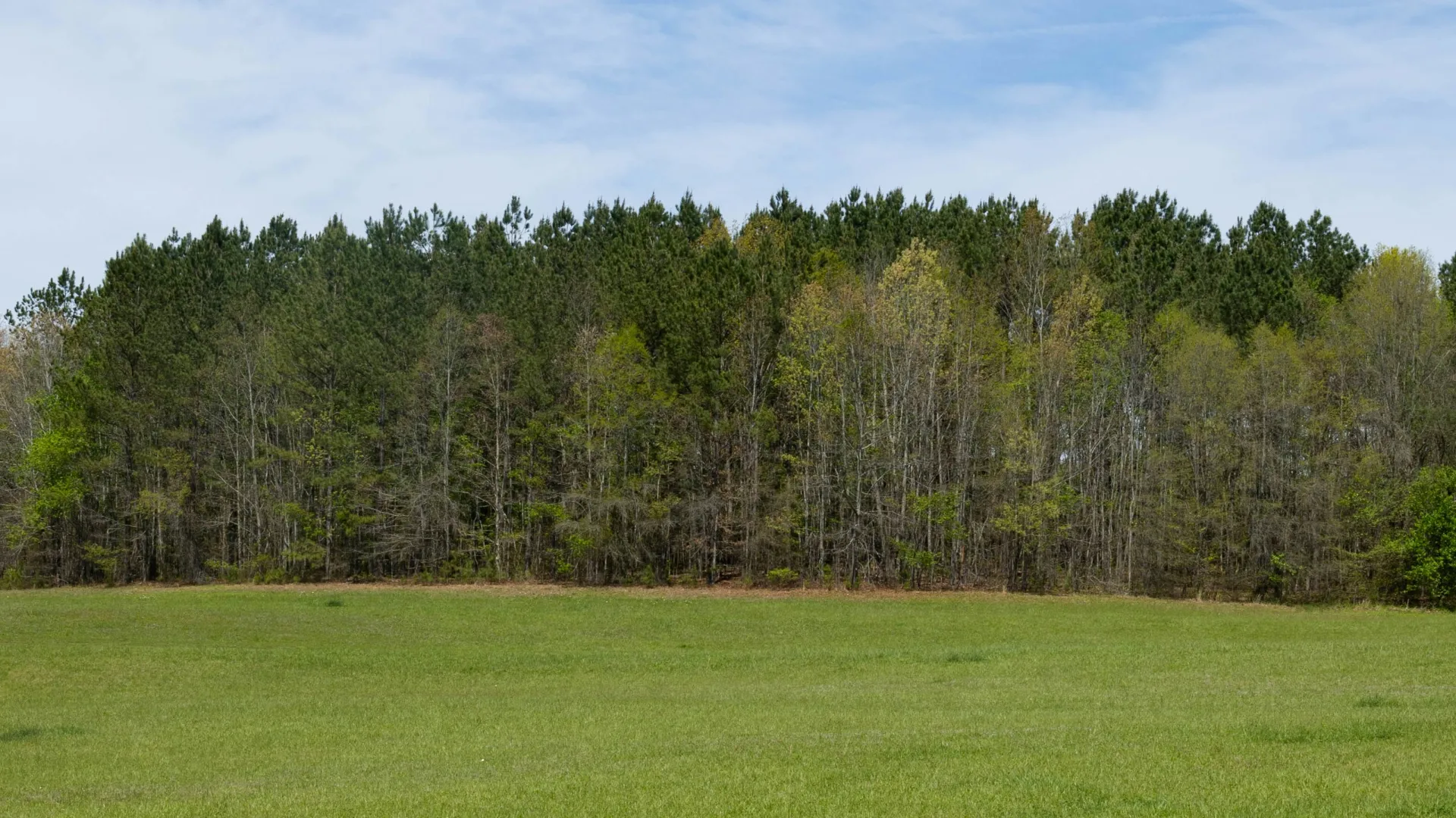 Pest Control, Residential and Commercial Pest Control in Olin, Olin Pest Services, Olin Certified Pest Control Technicians, Olin Exterminator, Olin Pest Inspections