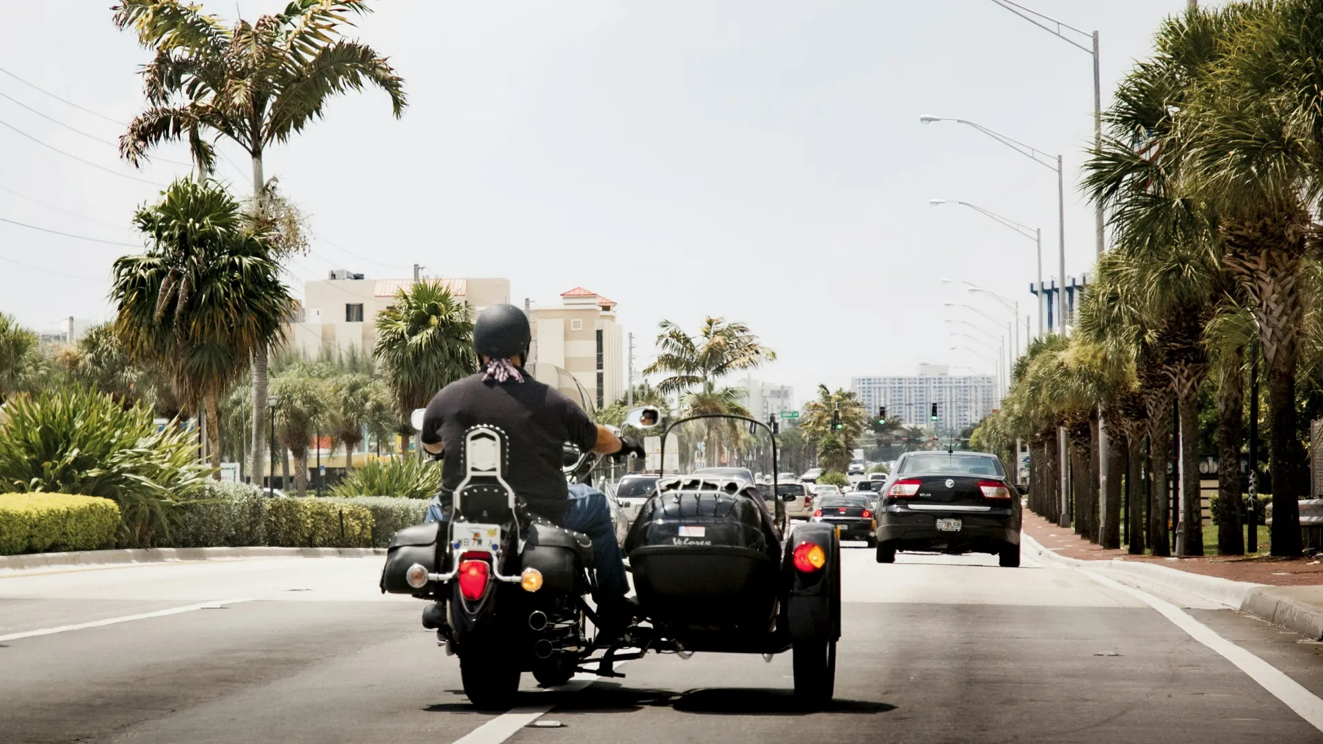 Motorcyclist with sidecar riding on a palm-lined urban road under clear skies.