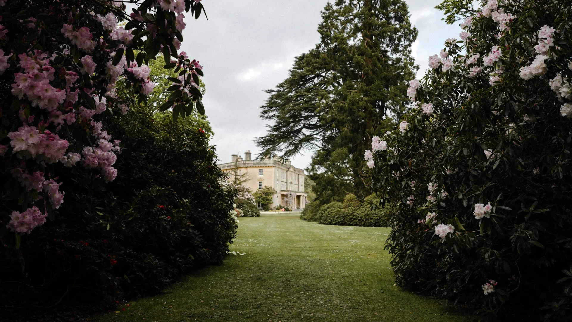 Large garden path leading to a stately beige mansion surrounded by blooming pink flowers and tall trees.