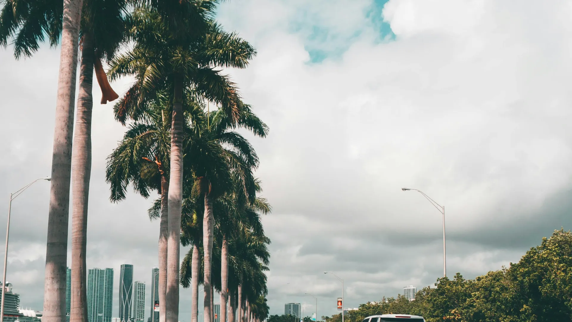 View from car driving on palm tree-lined highway towards city under partly cloudy sky