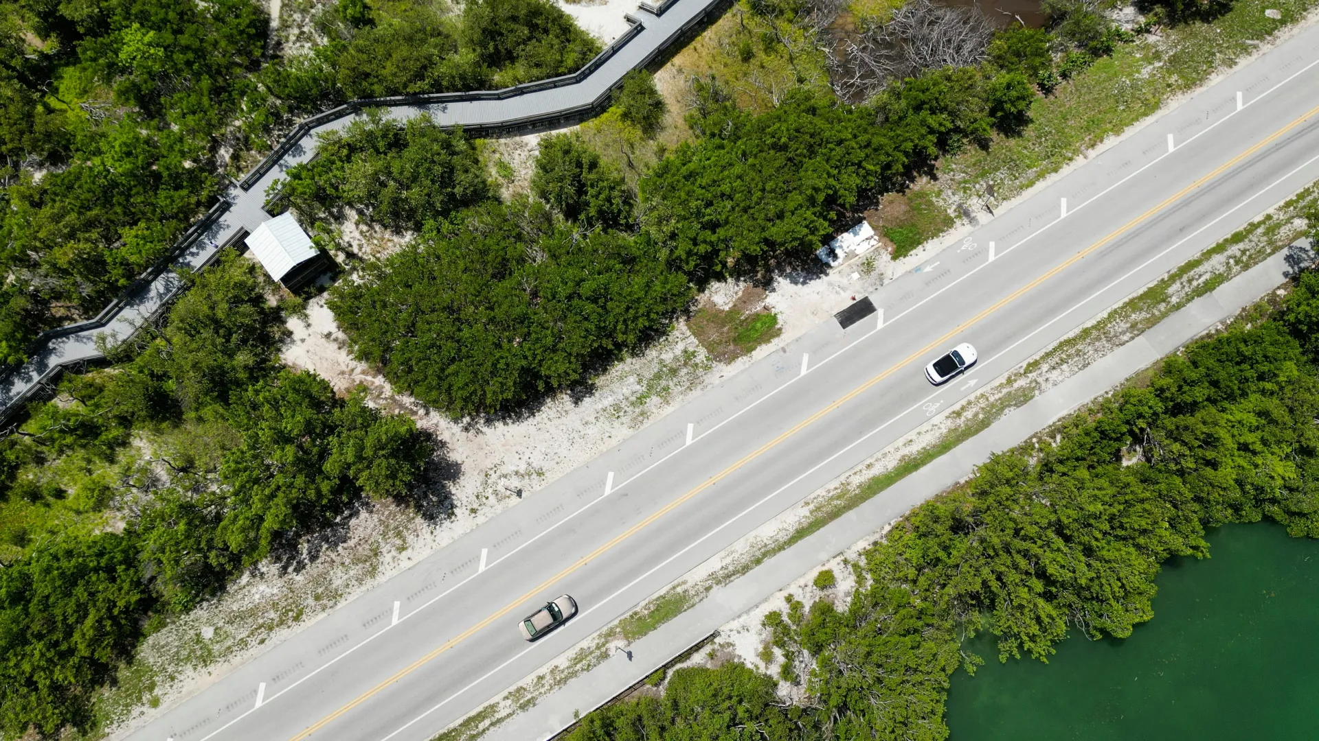 Aerial view of two cars driving on a road surrounded by dense greenery and a body of water.