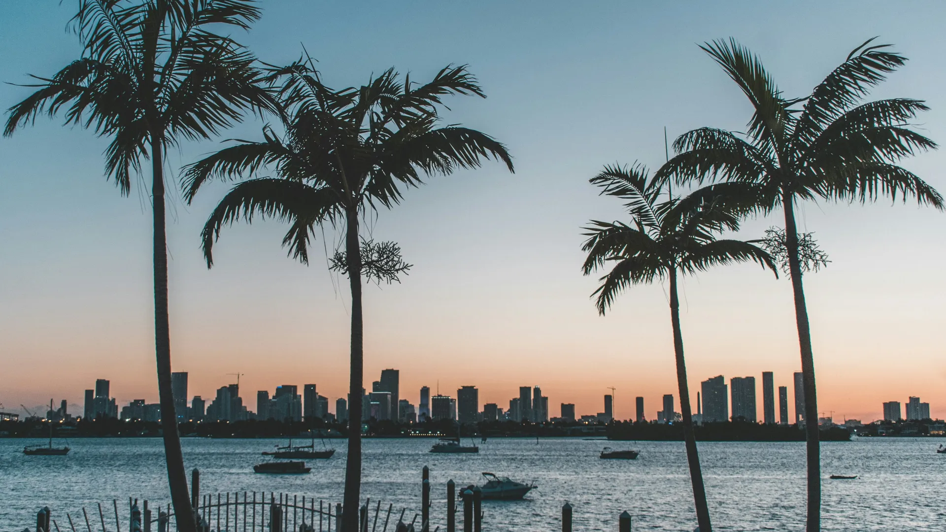 Palm trees silhouette by calm water with boats and city skyline at sunset under clear sky.