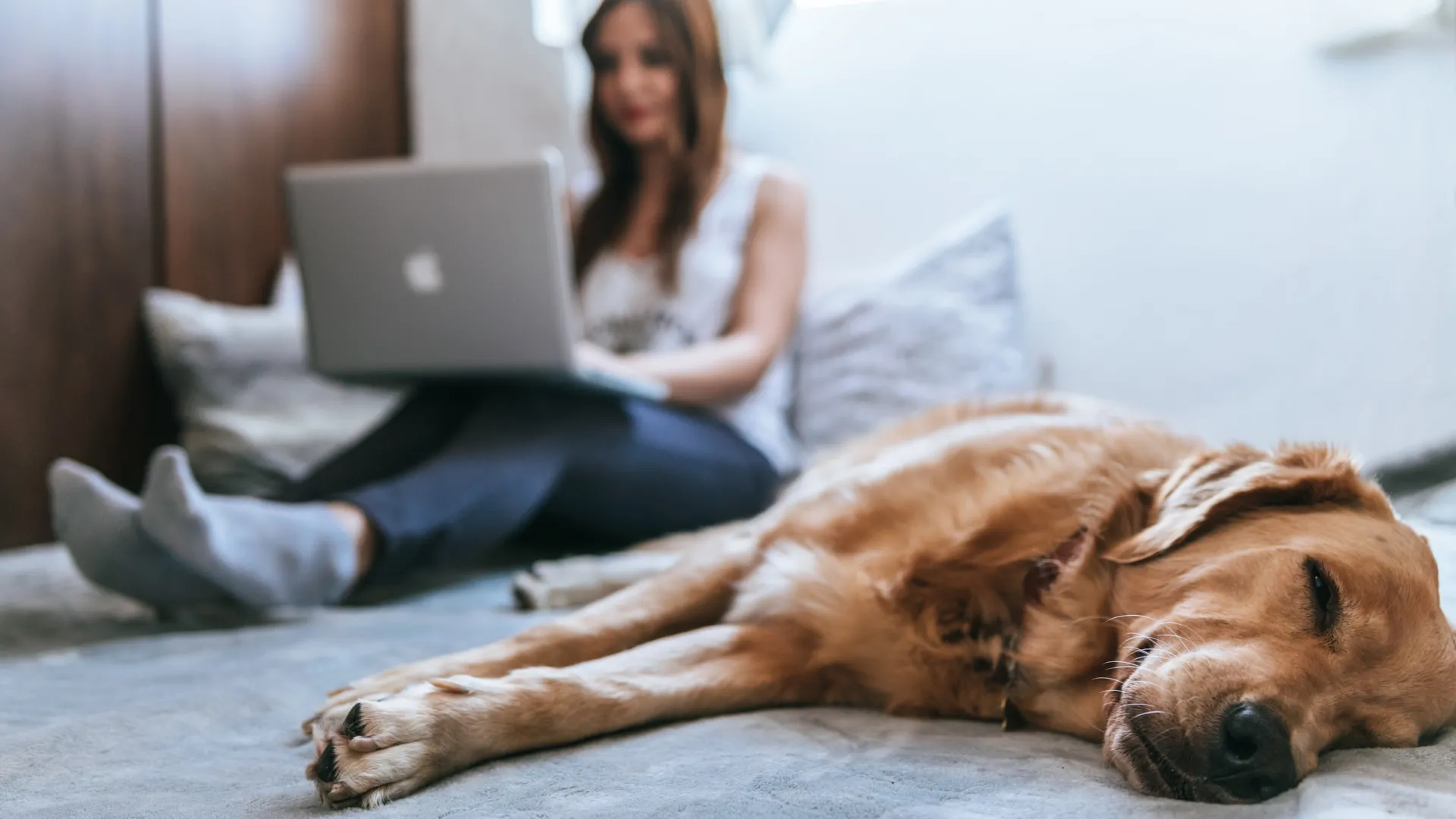 A woman working on a laptop while her golden retriever relaxes beside her on a cozy bed.
