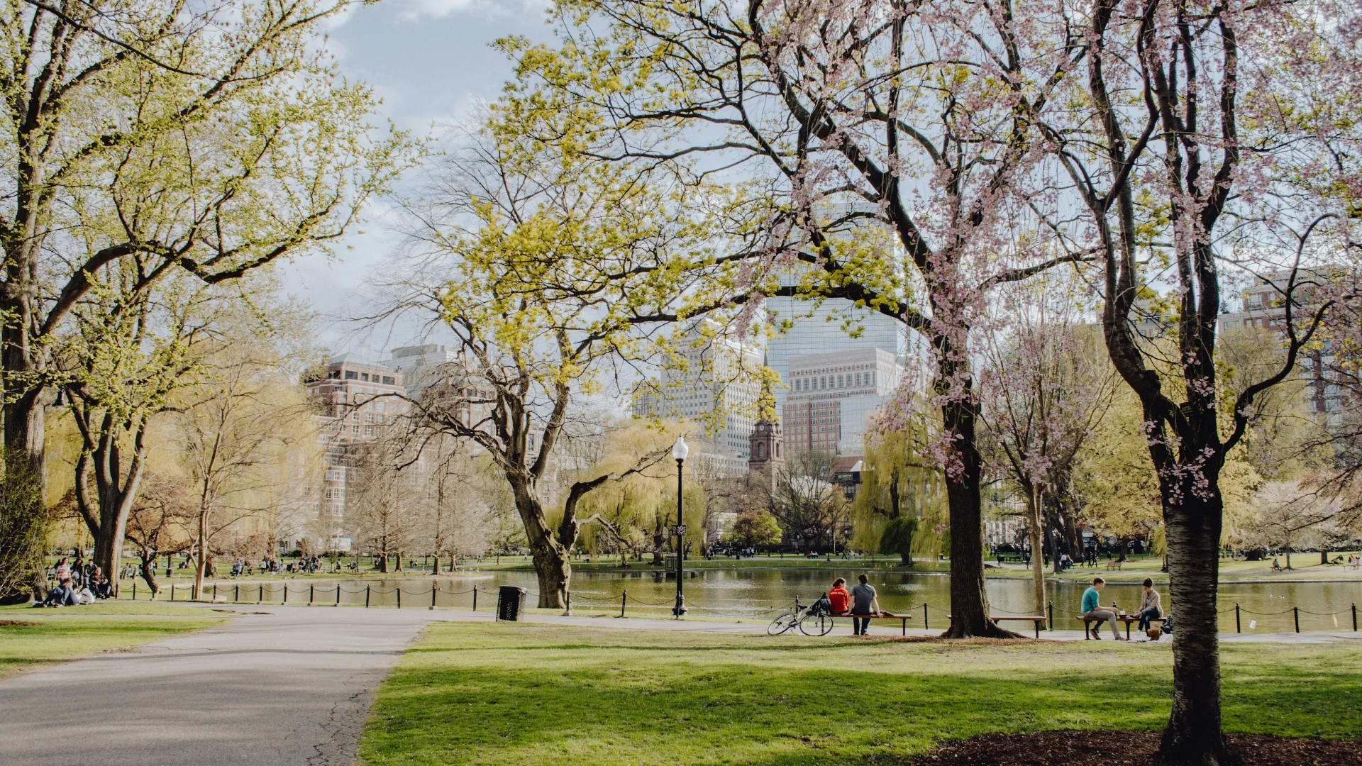 City park with blooming trees, green grass, walking path, and people relaxing near a pond on a sunny day.