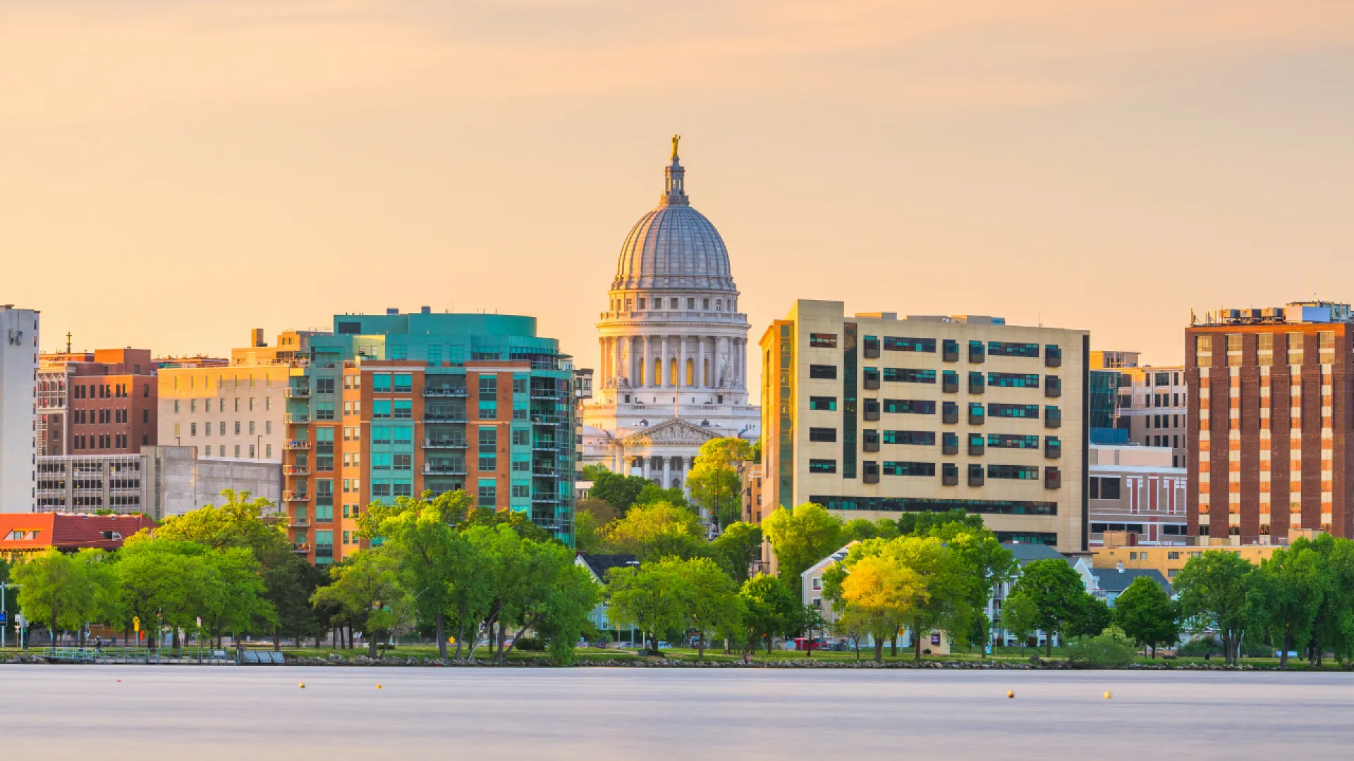 Madison Pest Control, PestNation Pest Control