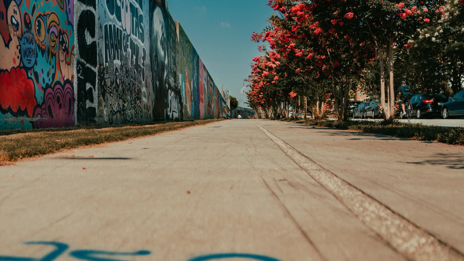 Low-angle view of a graffiti-covered wall alongside a sidewalk with blooming red flowering trees under a clear sky.