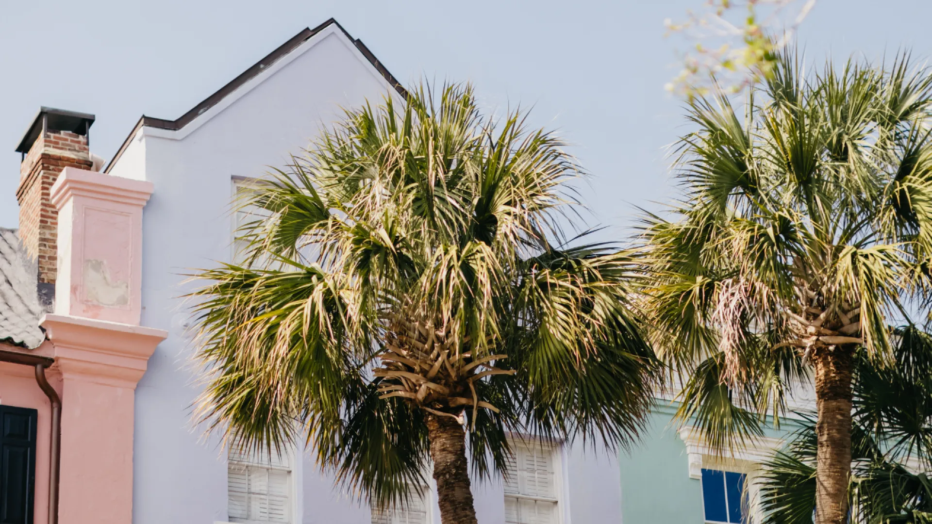 Two palm trees in front of pastel-colored houses with blue sky background in a sunny setting