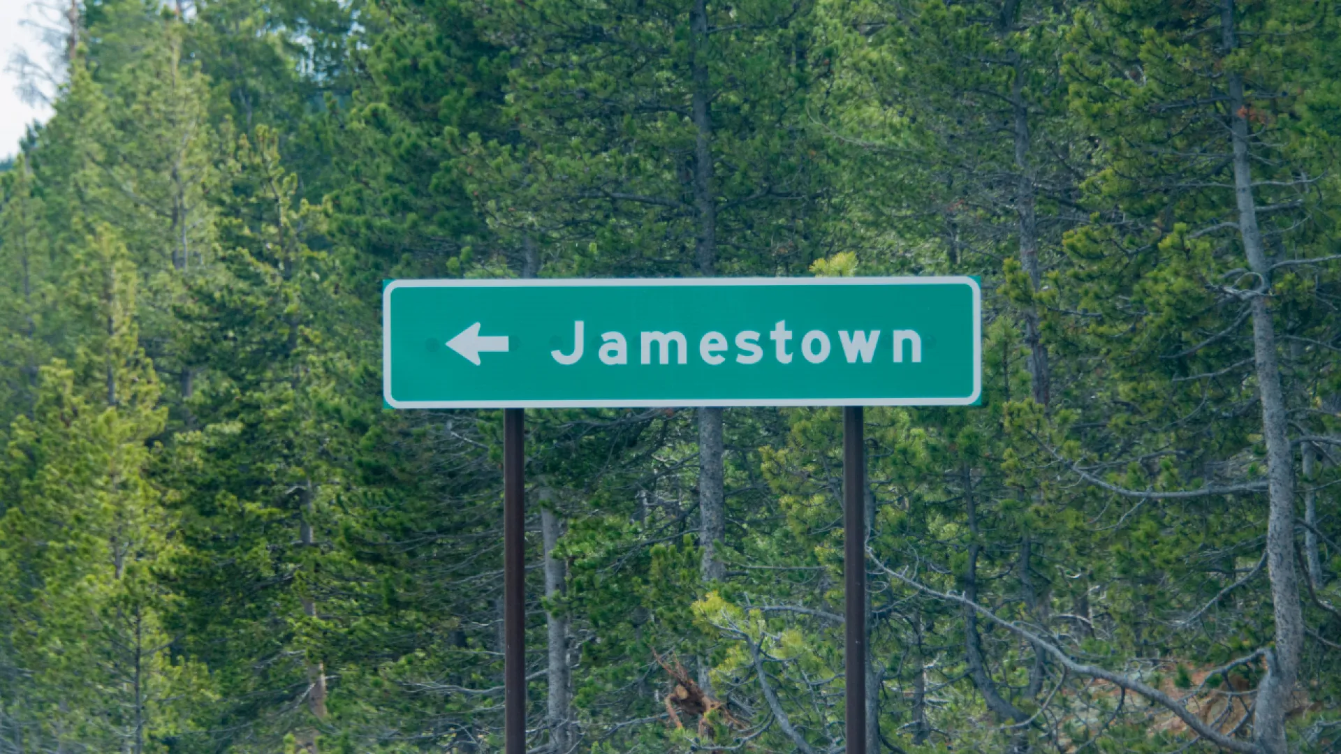 Green road sign pointing left to Jamestown surrounded by tall pine trees in a forested area.