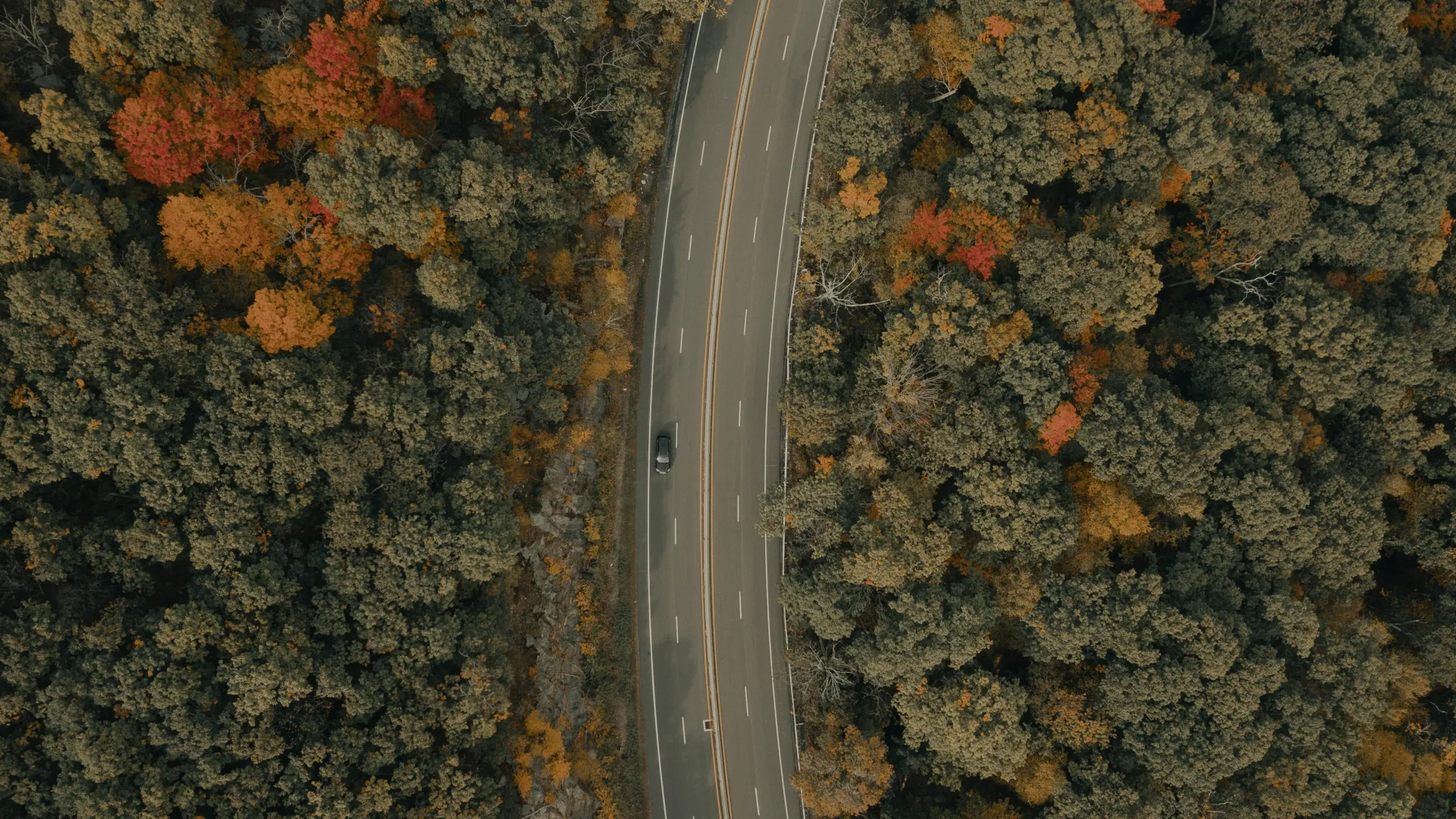 Pest Control, Residential and Commercial Pest Control in Hudson, Hudson Pest Services, Hudson Certified Pest Control Technicians, Hudson Exterminator, Hudson Pest Inspections