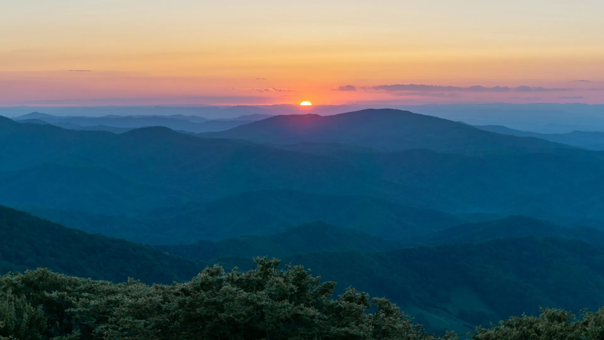 Pest Control, Residential and Commercial Pest Control in Harmony, Harmony Pest Services, Harmony Certified Pest Control Technicians, Harmony Exterminator, Harmony Pest Inspections