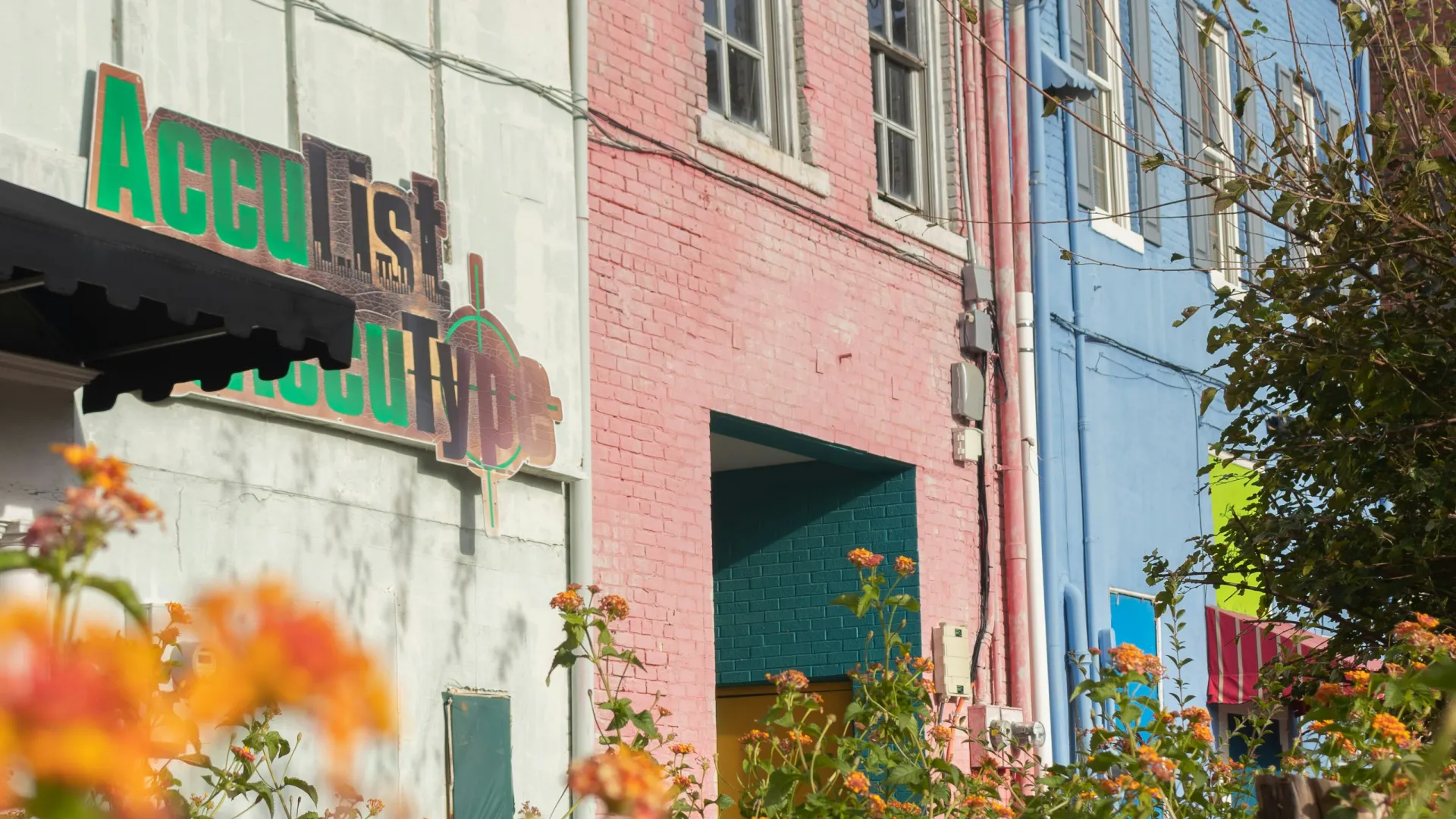Colorful buildings painted white, pink, and blue with vibrant flowers in the foreground under a clear sky.