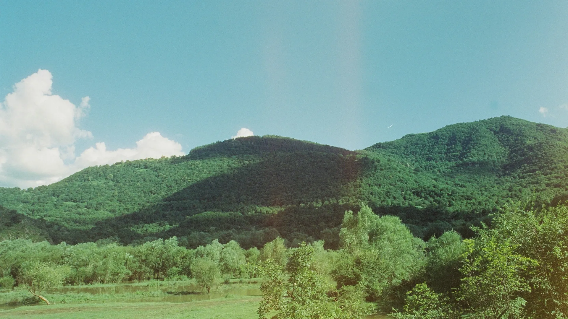 Pest Control, Residential and Commercial Pest Control in Maiden, Maiden Pest Services, Maiden Certified Pest Control Technicians, Maiden Exterminator, Maiden Pest Inspections