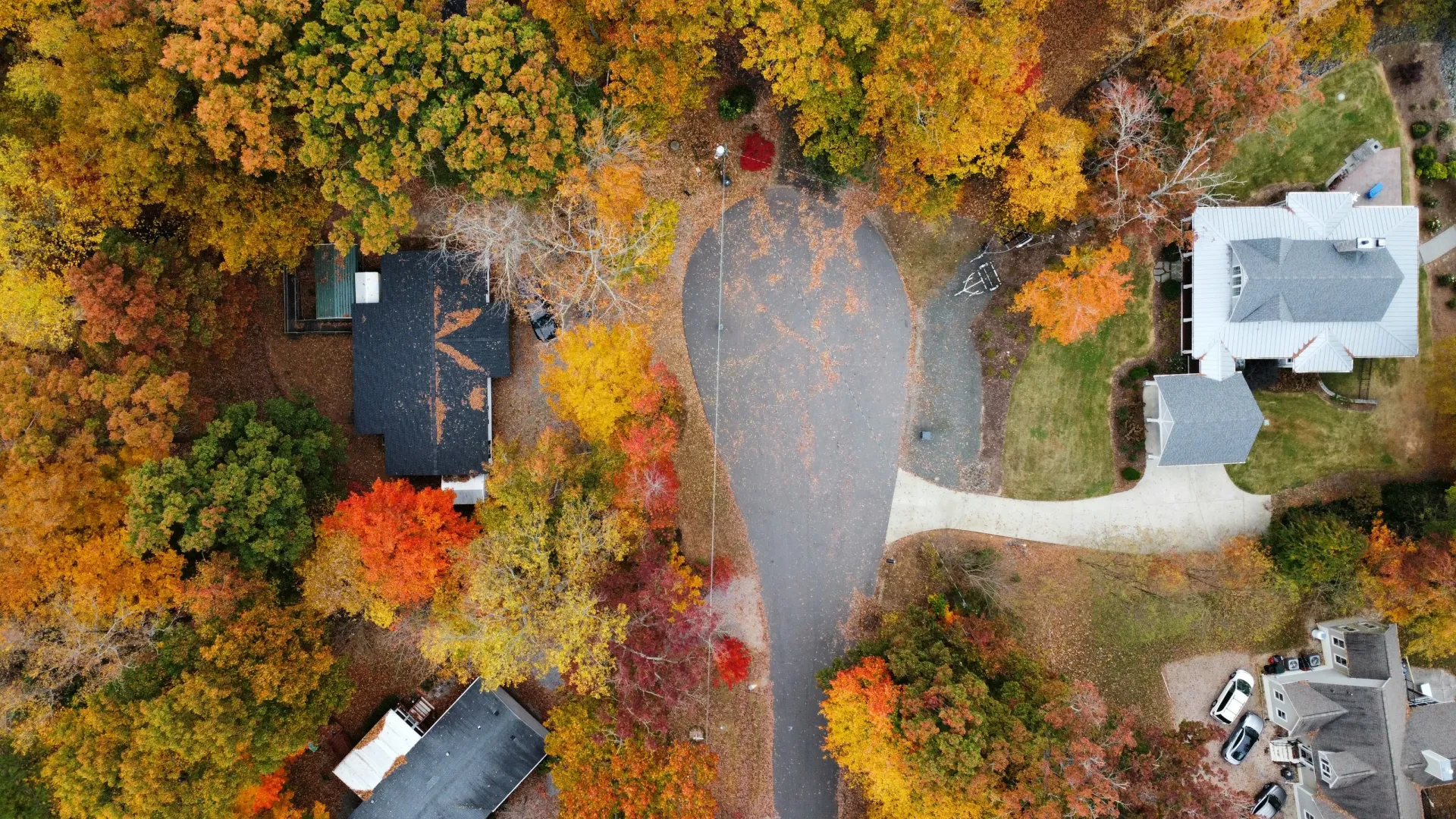 Pest Control, Residential and Commercial Pest Control in Alexis, Alexis Pest Services, Alexis Certified Pest Control Technicians, Alexis Exterminator, Alexis Pest Inspections, Serving Alexis ZIP Code 28006