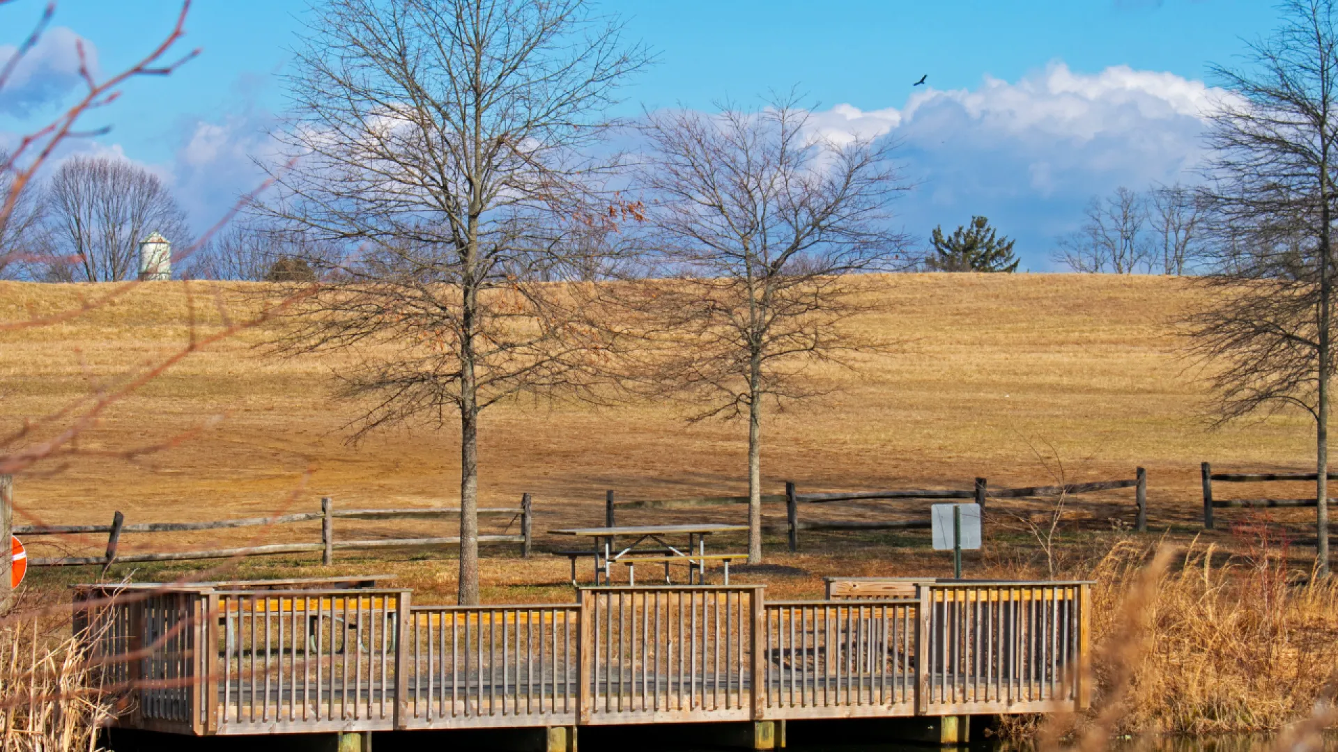 Wooden observation deck overlooking a dry grassy field with leafless trees against a blue sky.