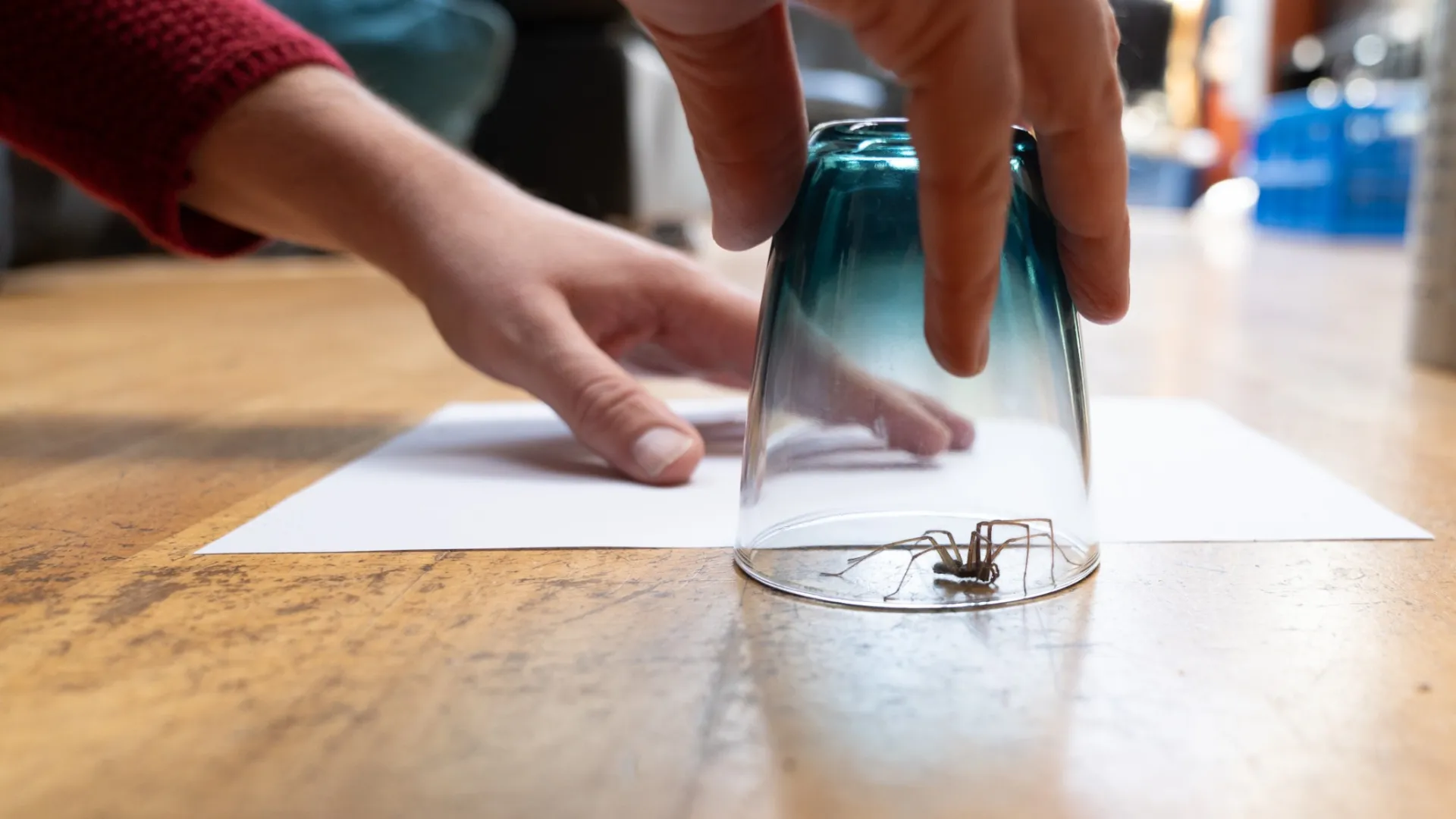 a person holding a glass