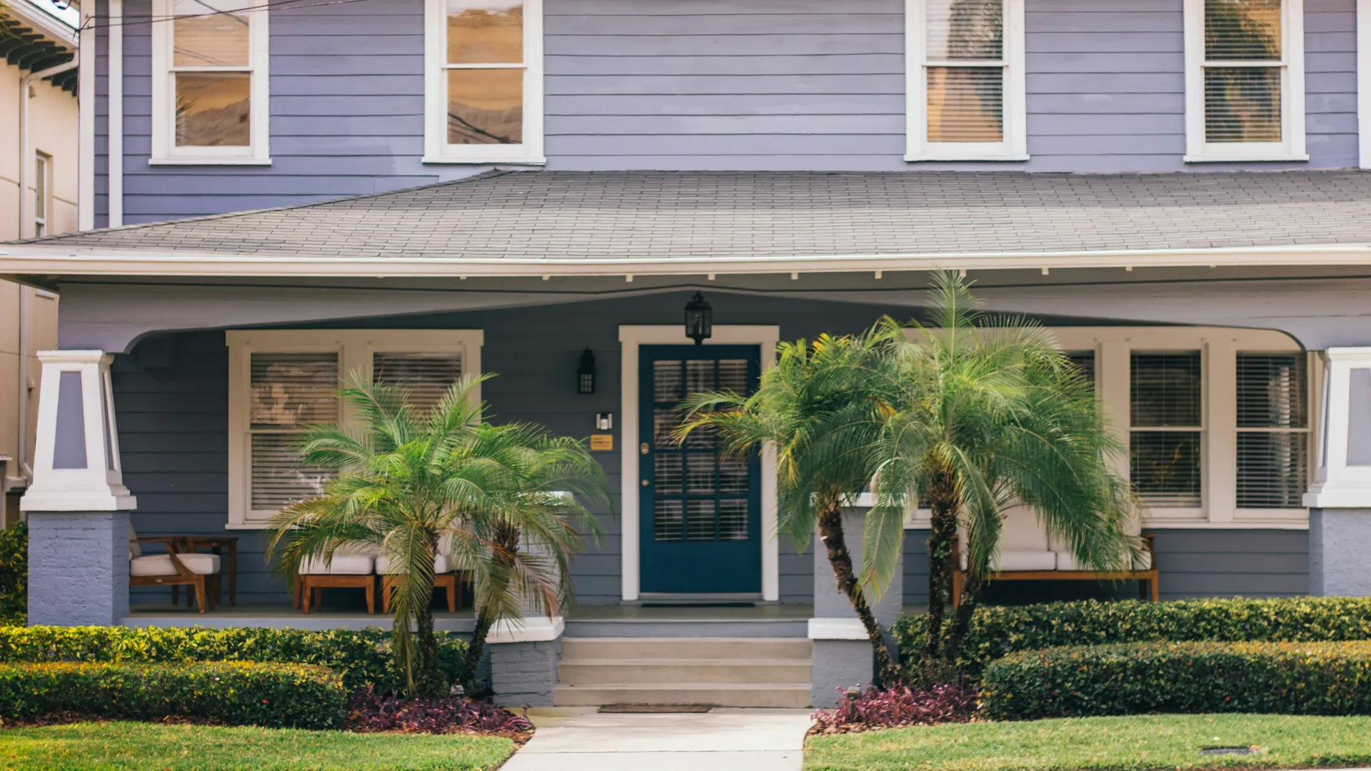 a house with palm trees